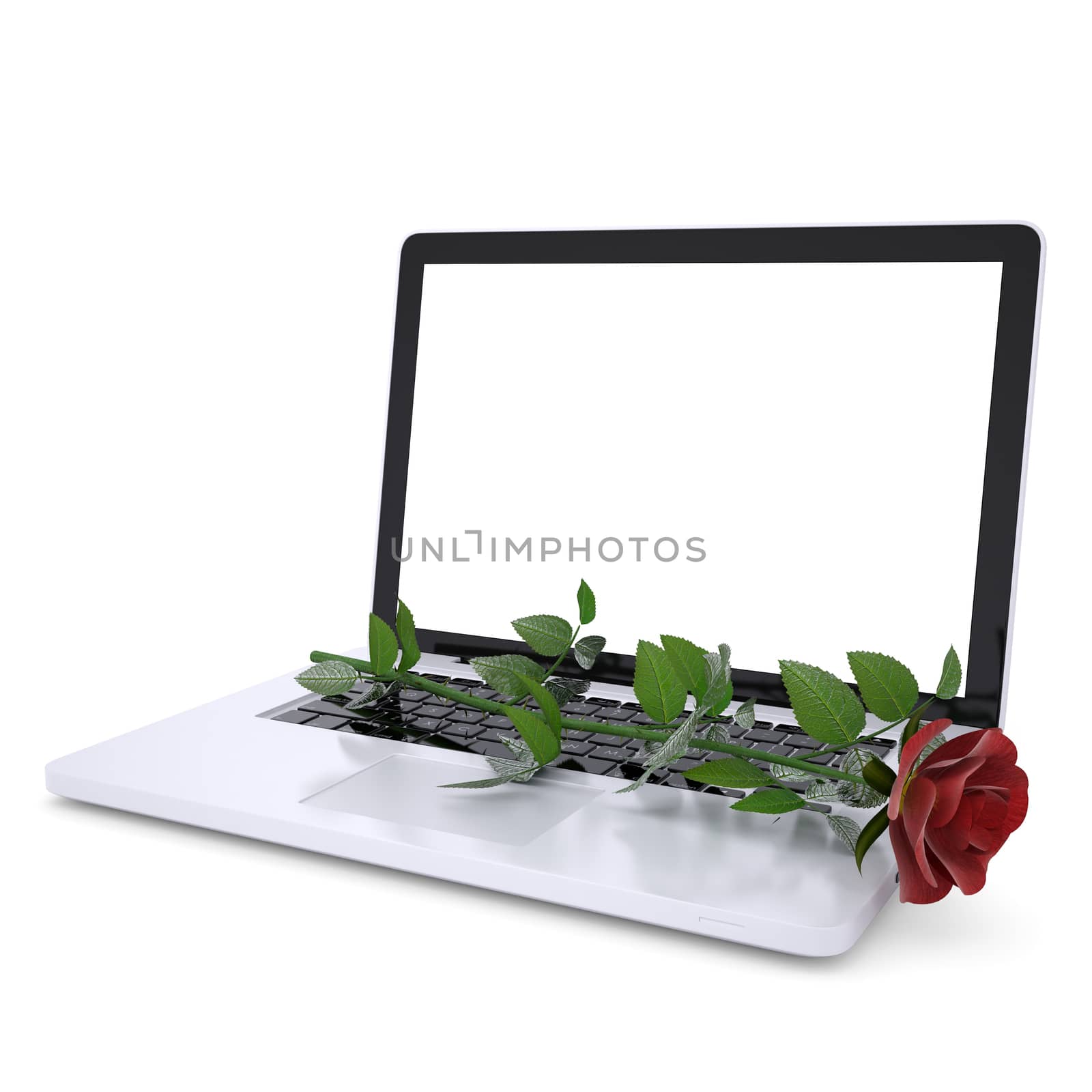 Red rose on a laptop. Isolated render on a white background