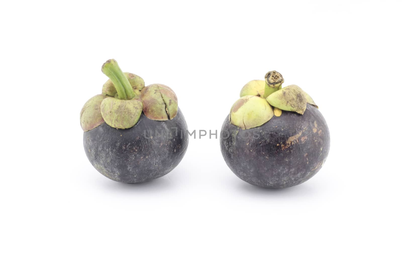 mangosteen isolated on white by ammza12