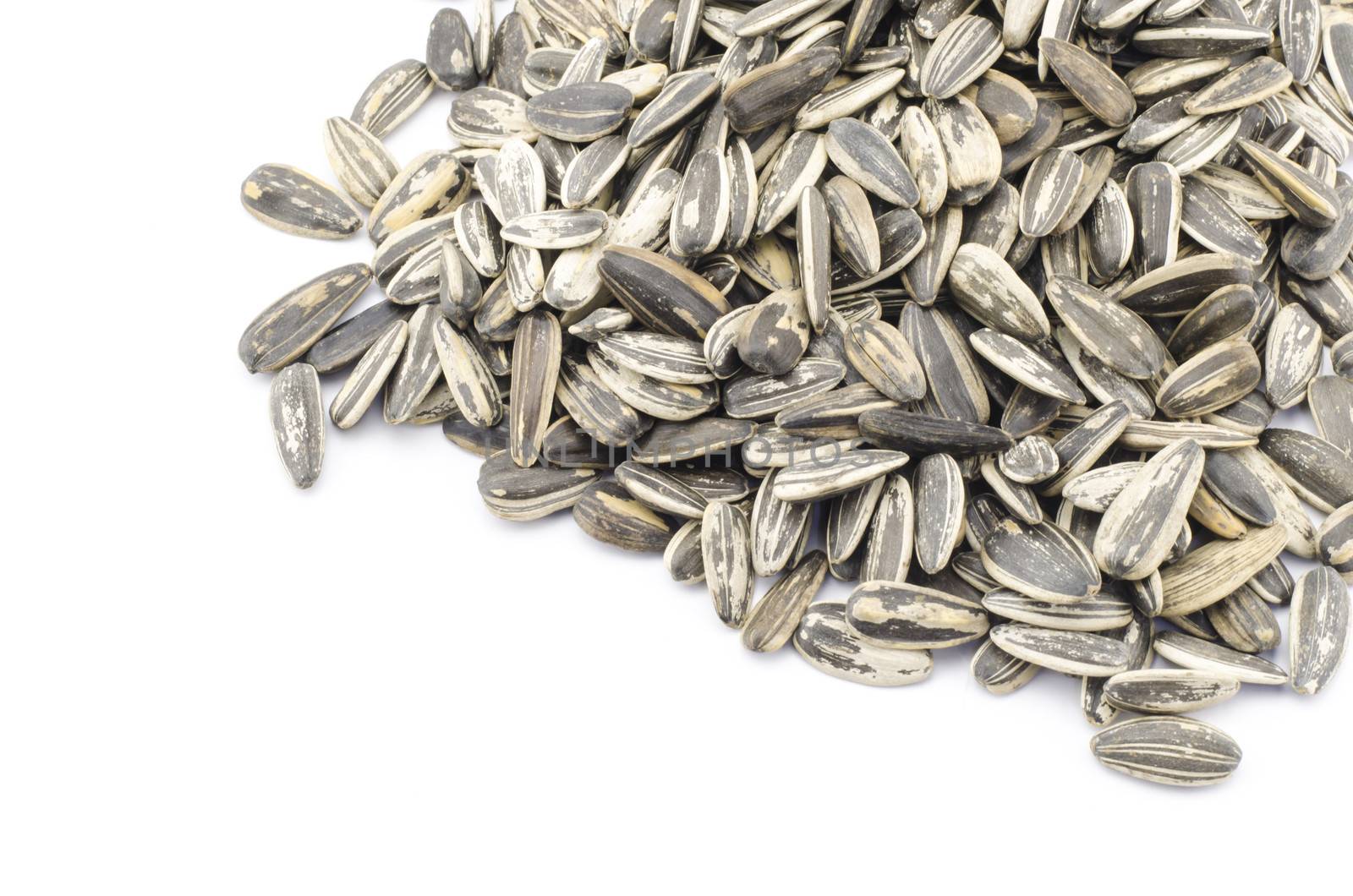 sunflower seeds isolated on white background