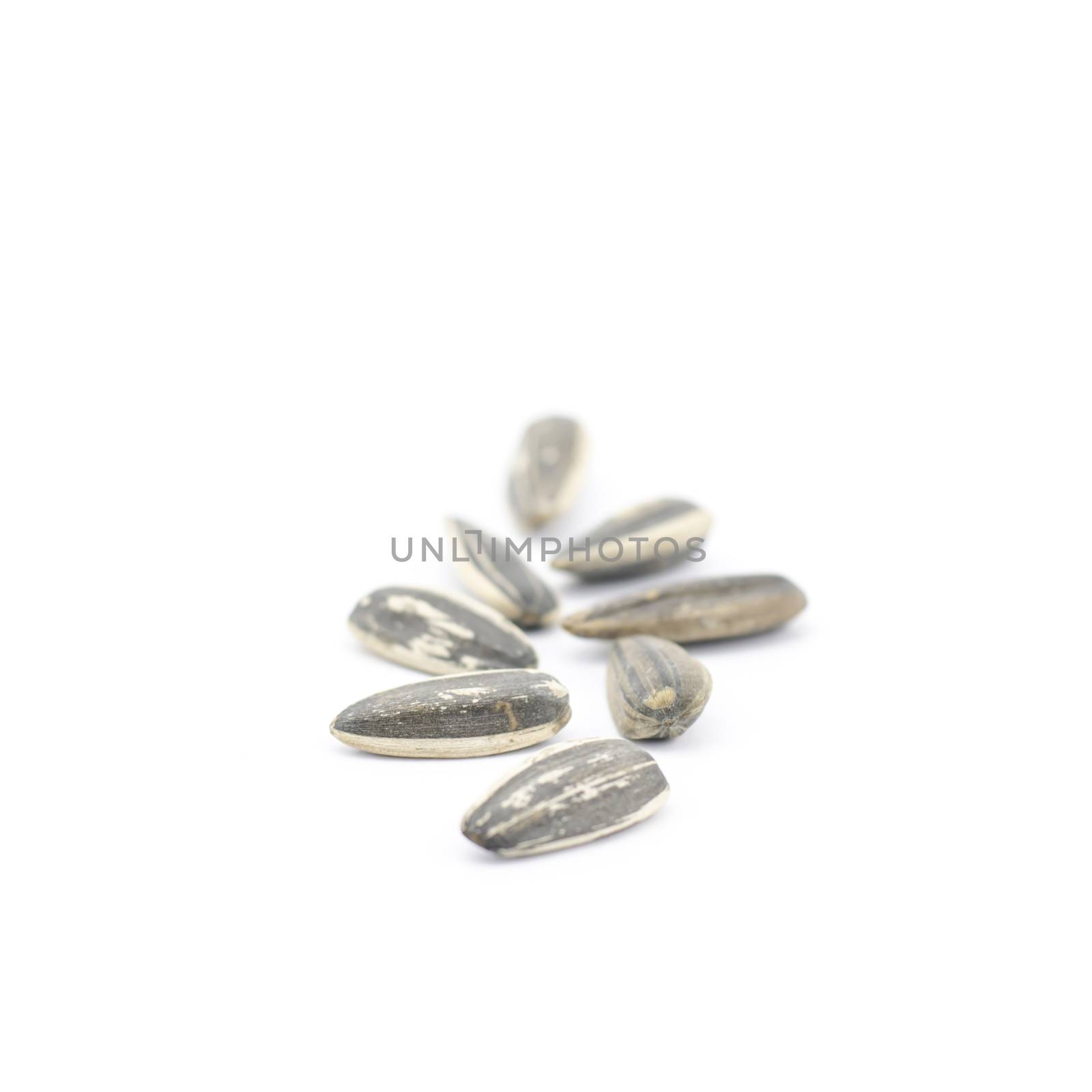 sunflower seeds isolated on white background