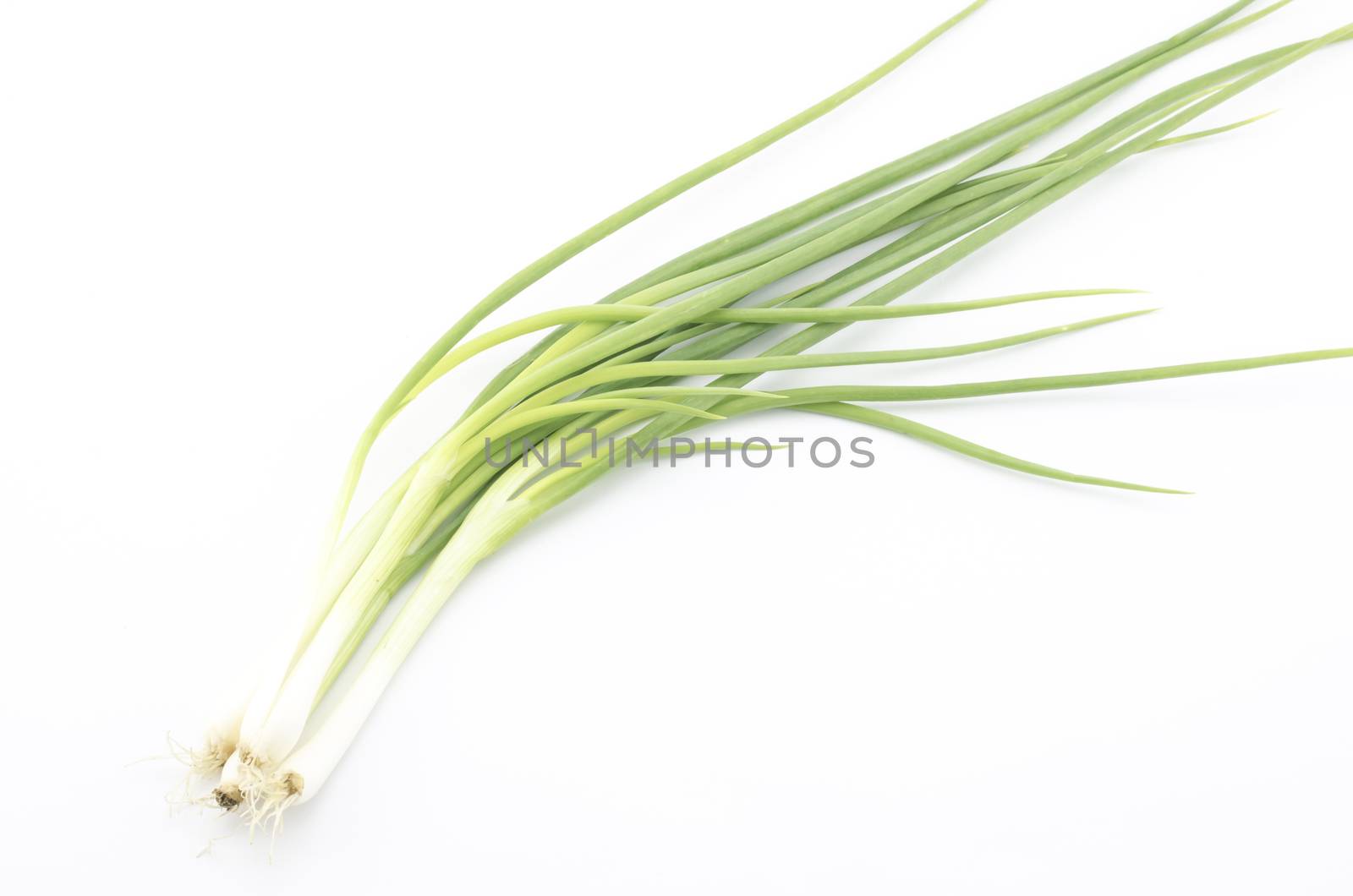 spring onion isolated on white by ammza12