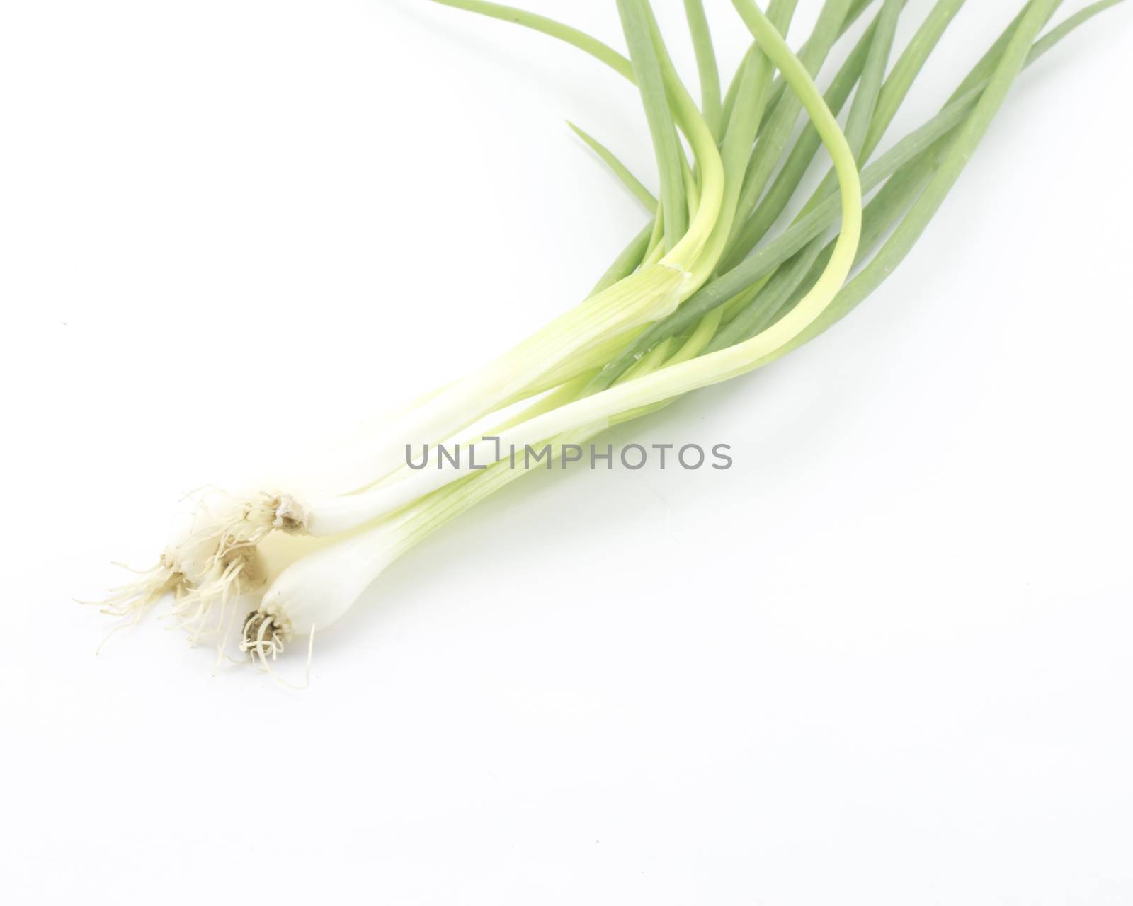 spring onion isolated on white by ammza12