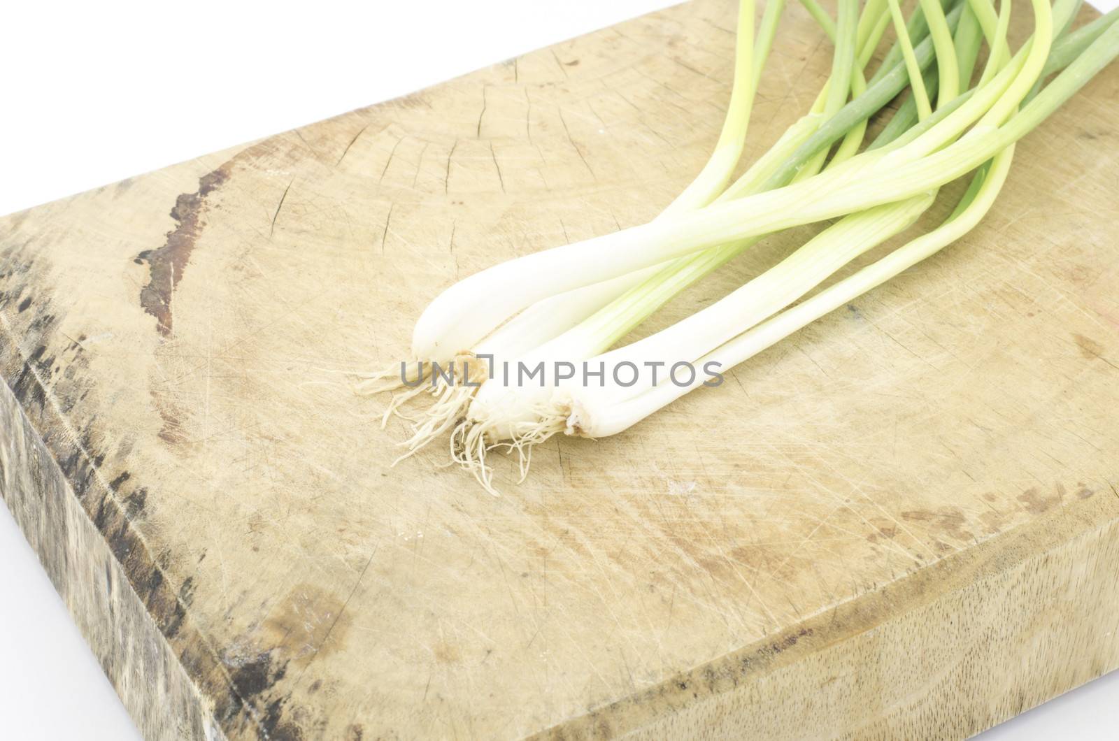 spring onion isolated on white background