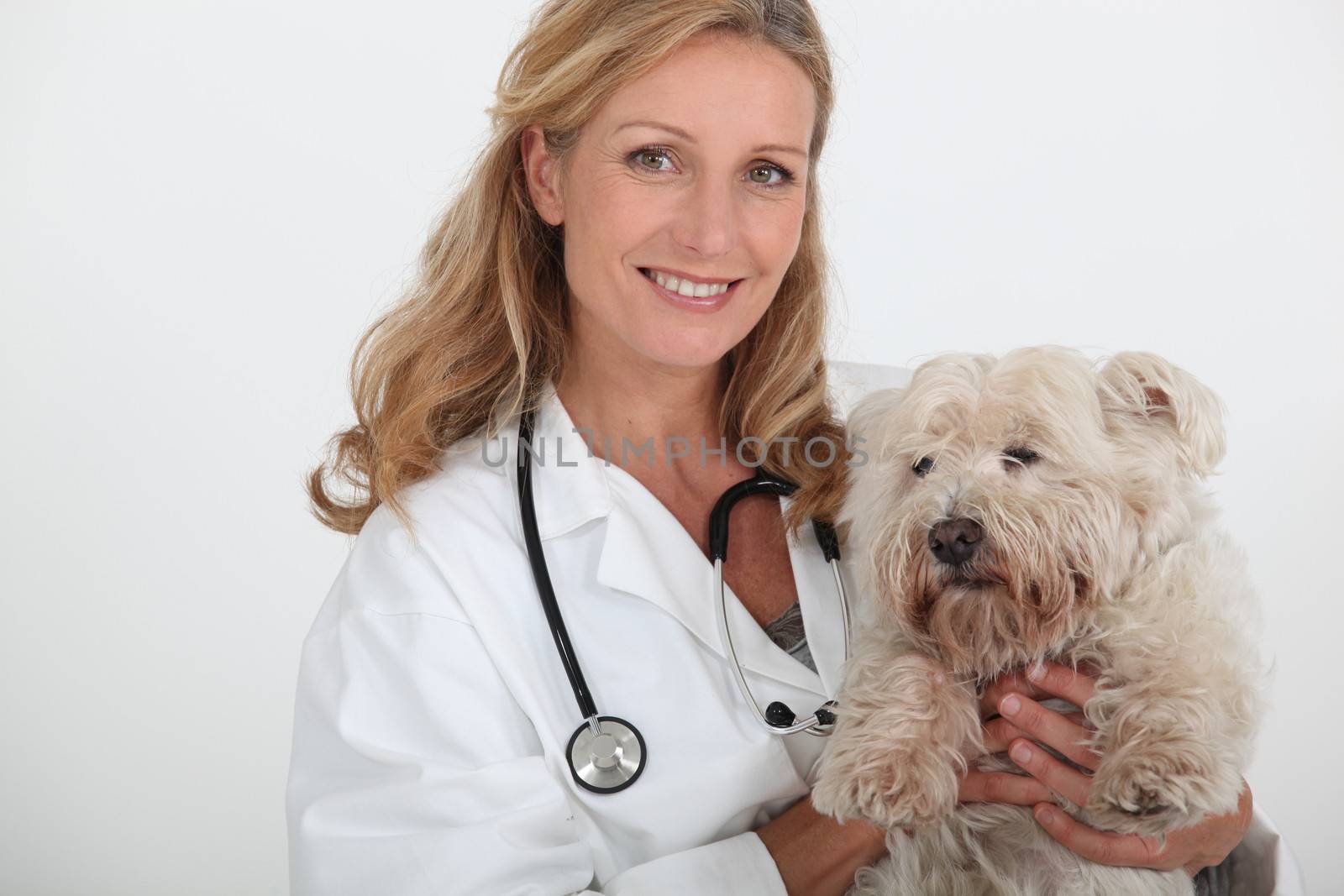 female veterinary and a dog by phovoir