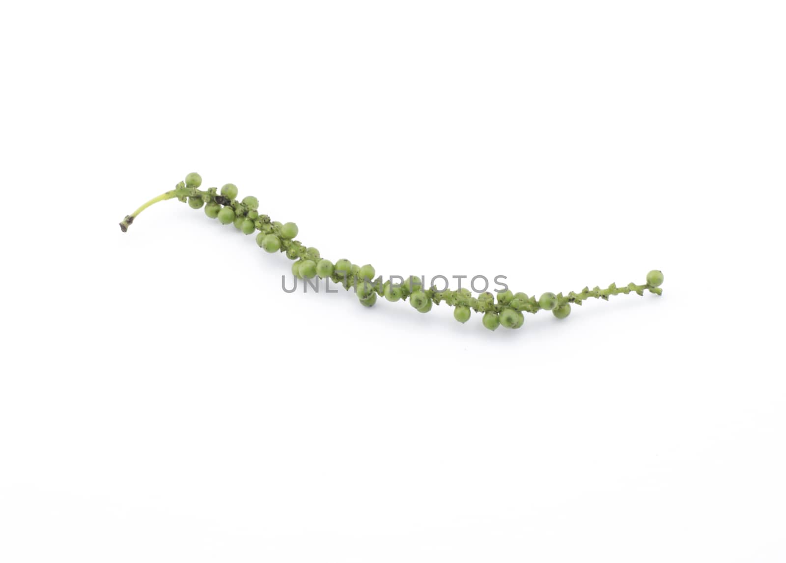 Green Peppercorns isolated on white background