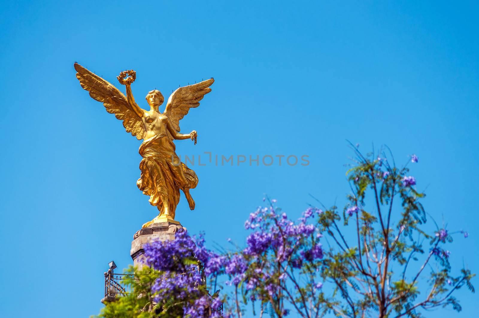 Angel of Independence by jkraft5