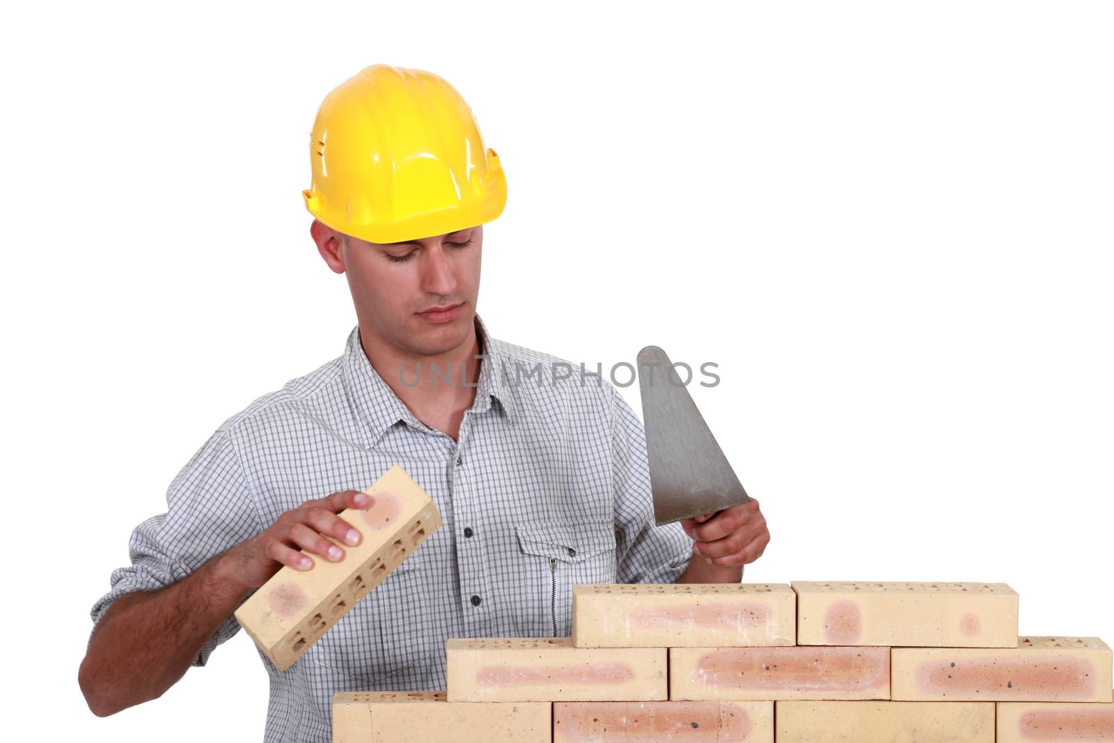 Mason making brick wall, studio shot