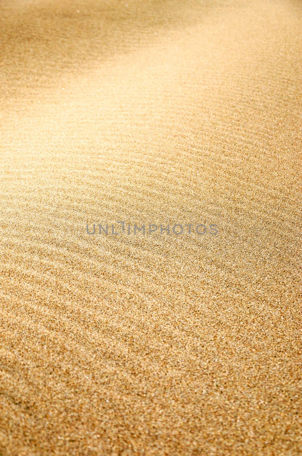 Sand texture on a beach in Oregon