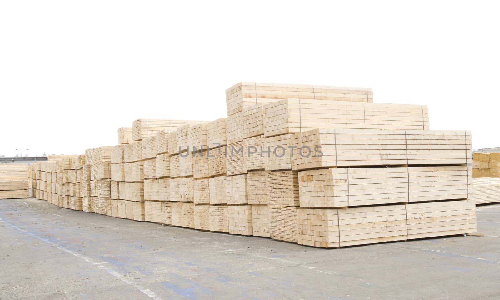 timber wood piles deposit for export