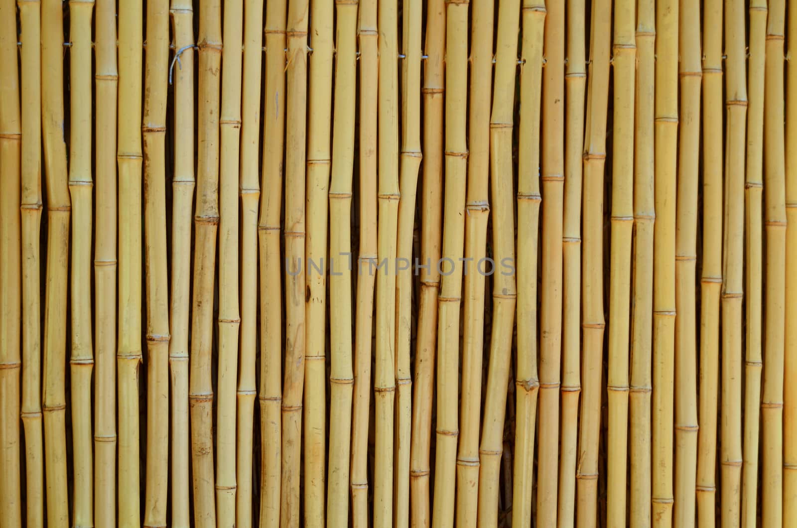 Bamboo Background by mrdoomits