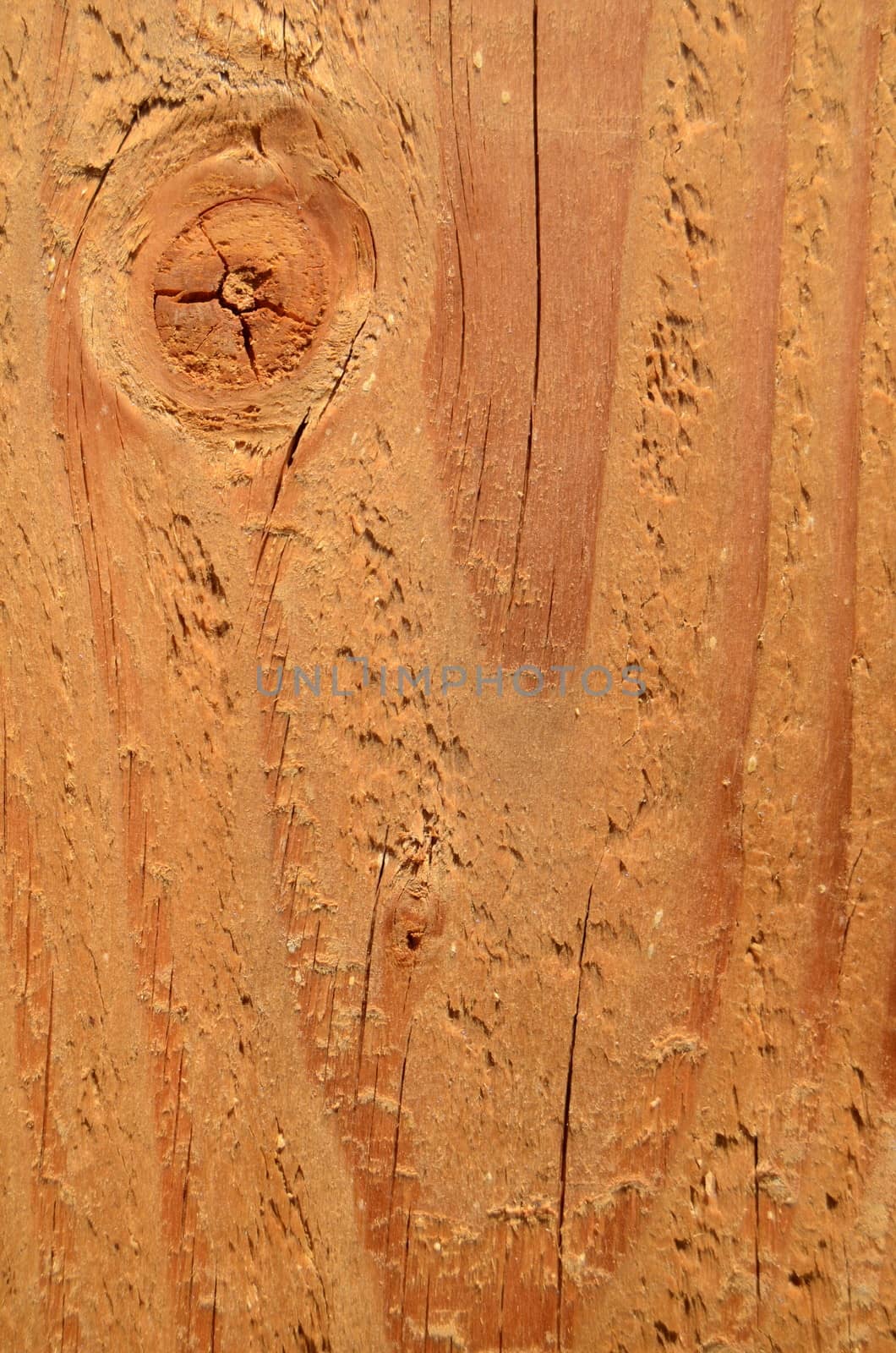 Background Texture Of A Freshly Cut Plank Of Wood
