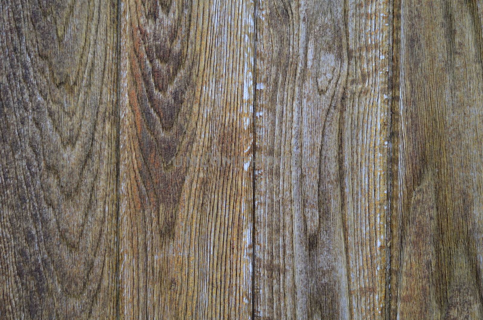 Background Texture Of A Heavy Wooden Door