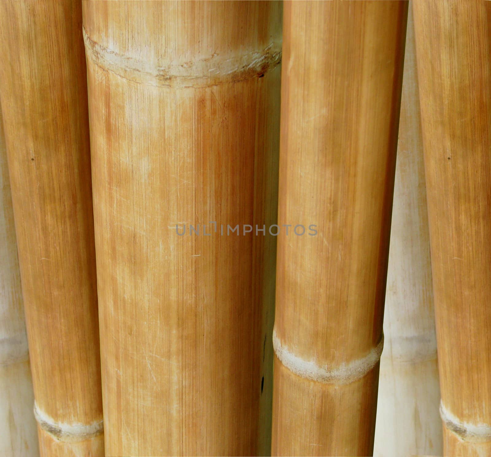 Abstract Background Texture Of Thick Sticks Of Bamboo