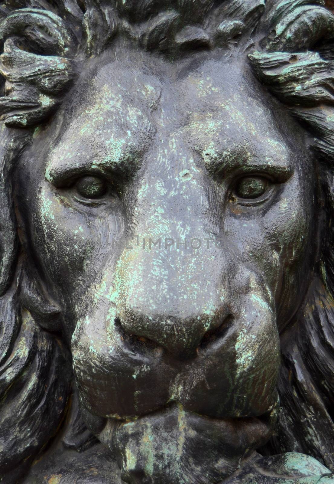 A Closeup Of The Head Of A Bronze Statue Of A Lion