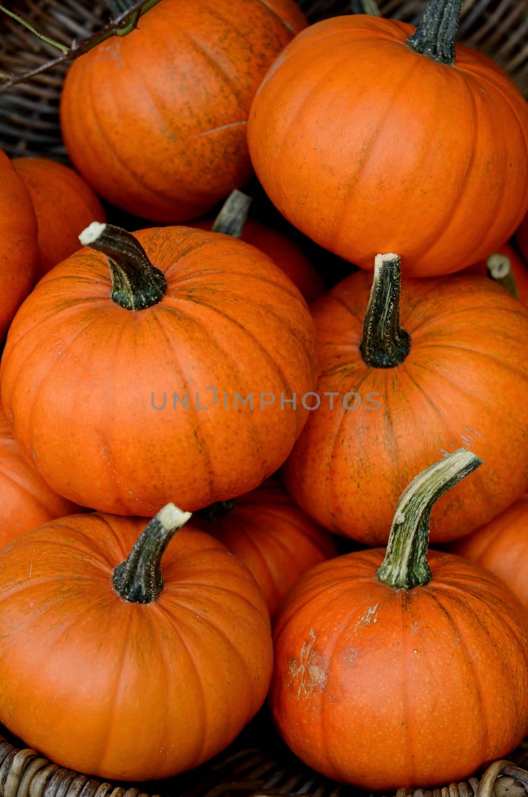A Halloween Background Image Of Pumpkins At A Market