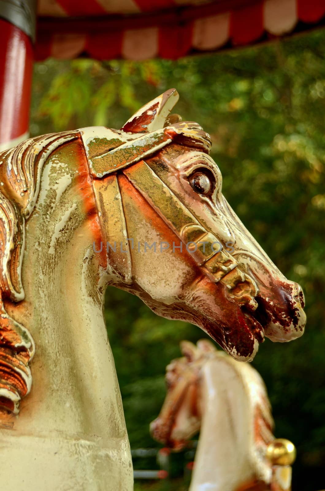 Grungy Horses On An Ancient Merry-Go-Round Ride