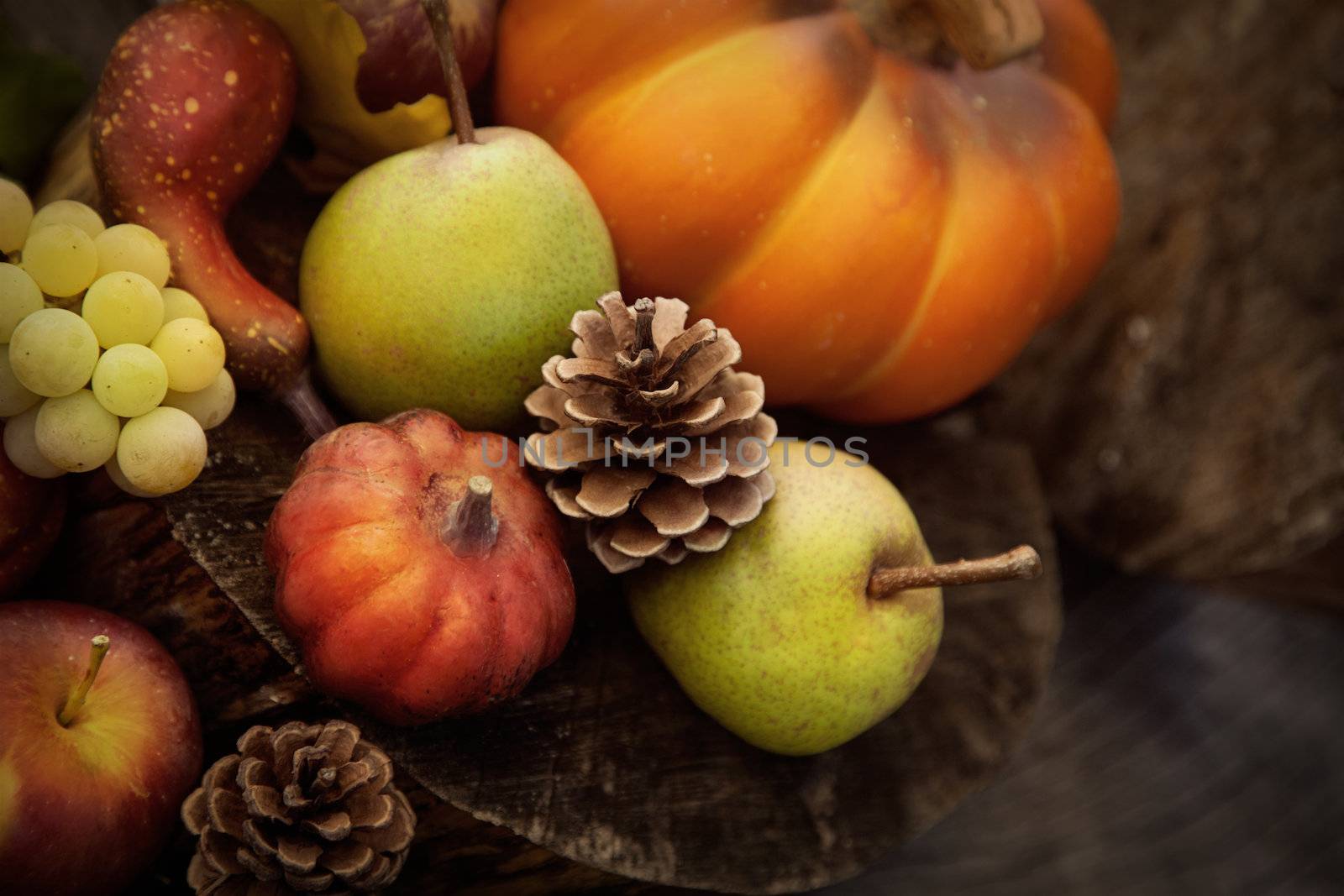 Autumn fruit by mythja