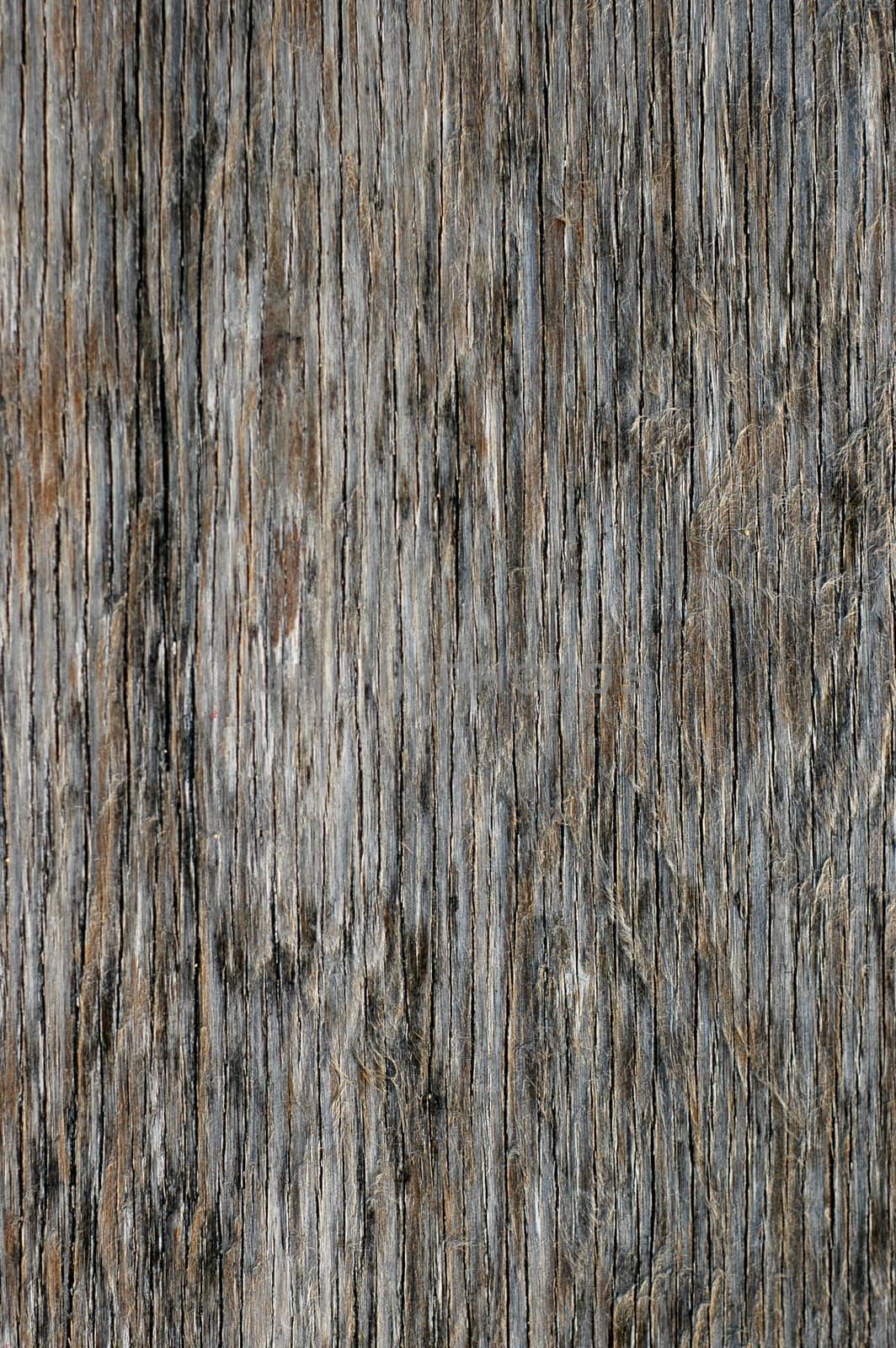 Abstract Background Of Grungy Weathered Wood Surface