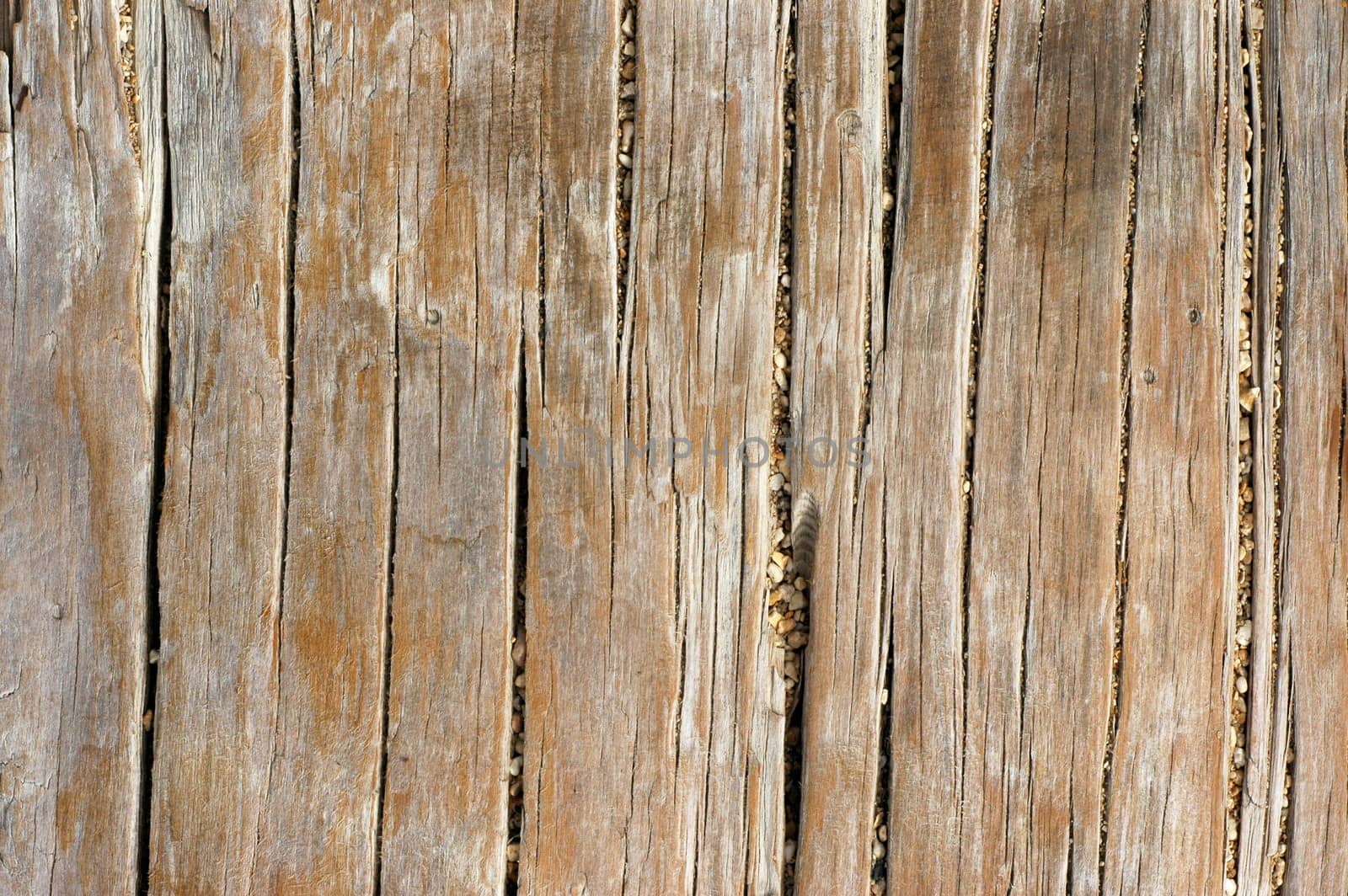 Abstract Background Texture Of Weathered Wood Near A Beach
