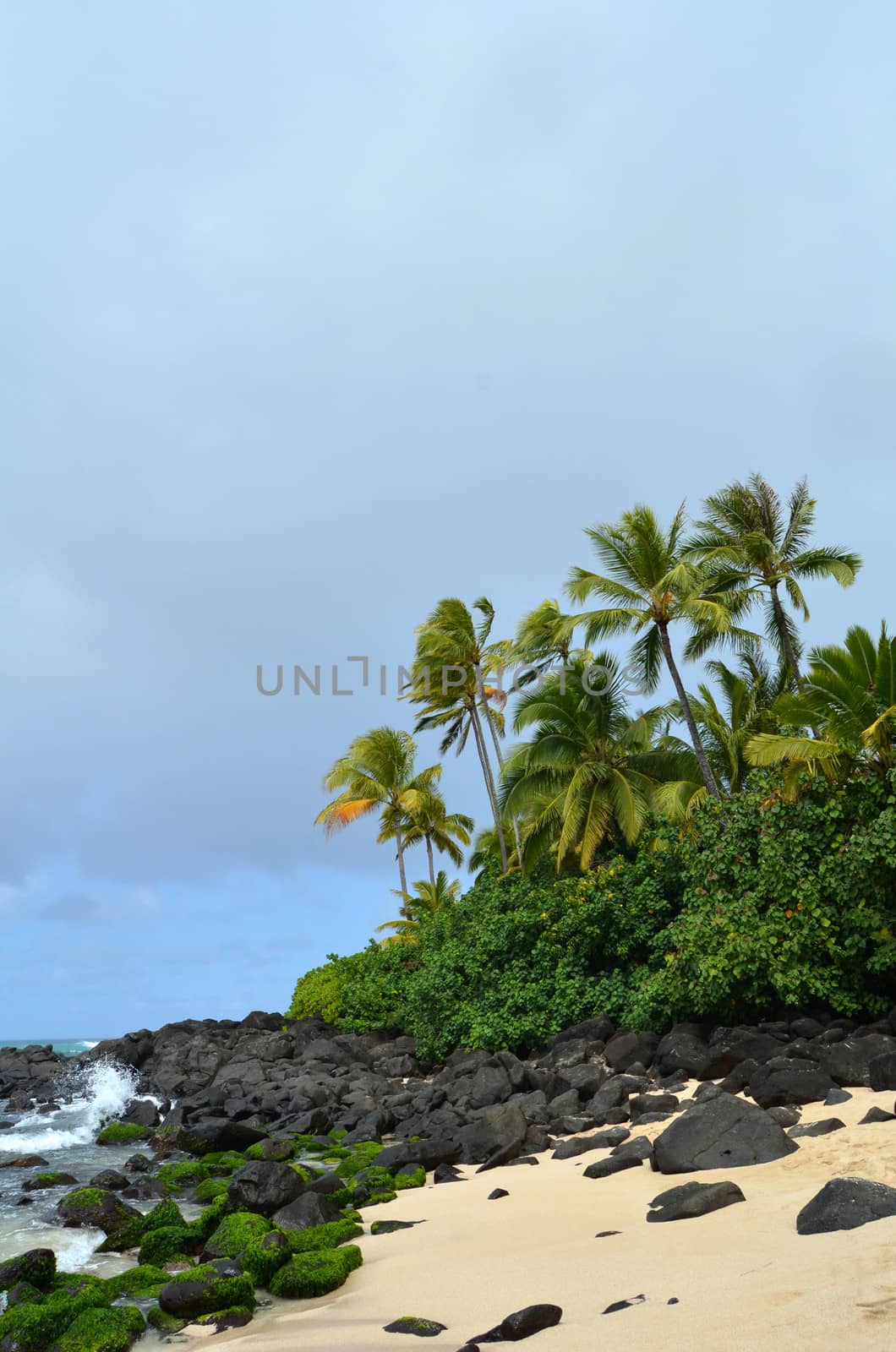 Waves Crashing Against A Wild Tropical Beach In Hawaii