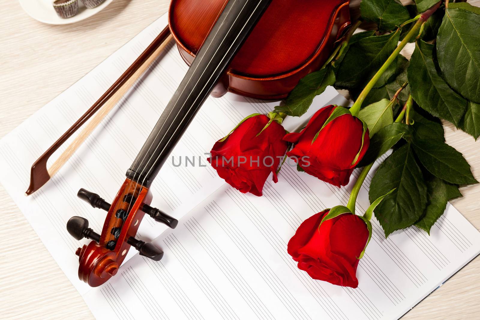 Red roses and a violin by sergey_nivens