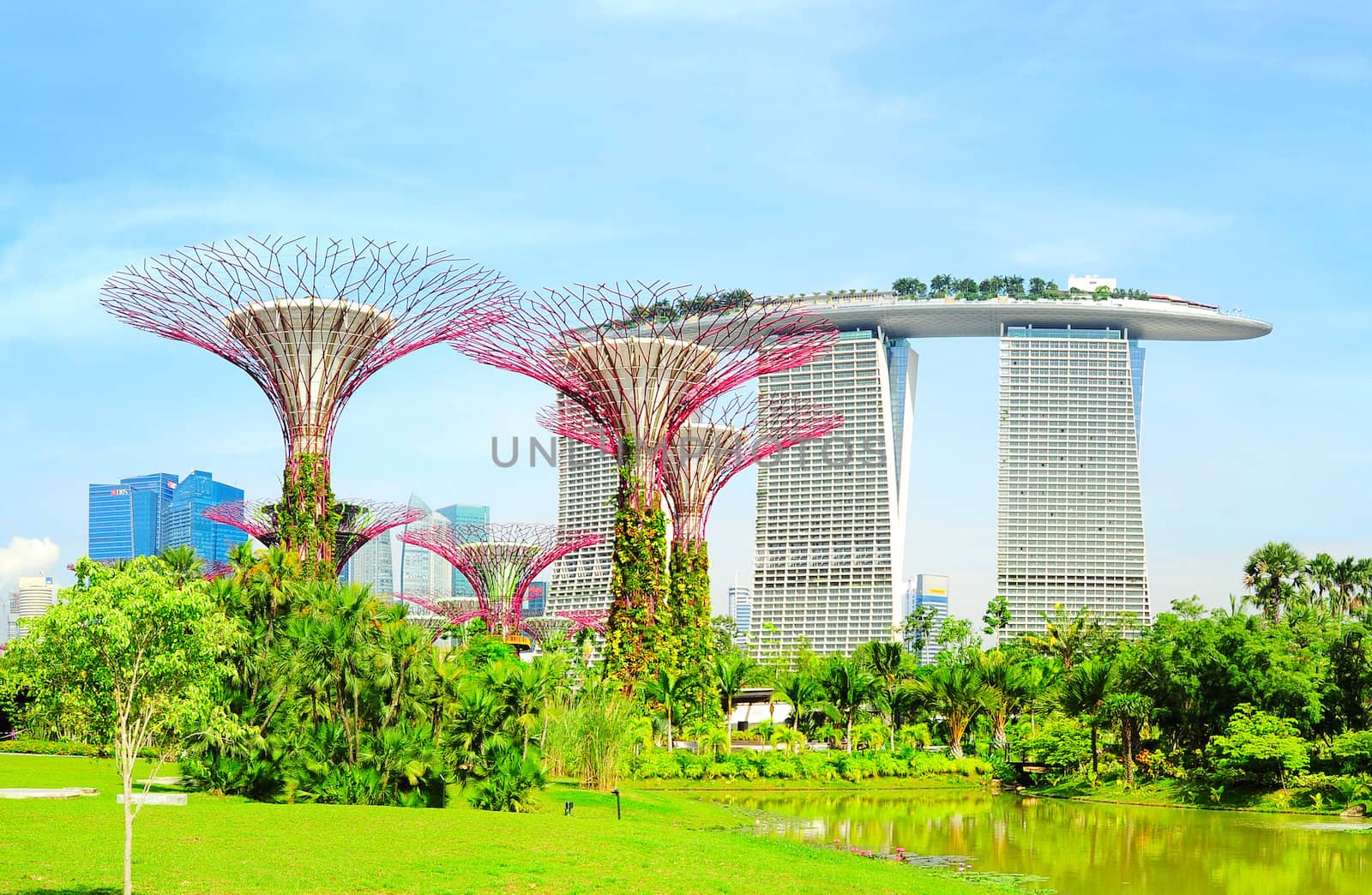 Singapore, Republic of Singapore - May 09, 2013: Panoramic view of Gardens by the Bay in Singapore. Gardens by the Bay was crowned World Building of the Year at the World Architecture Festival 2012 