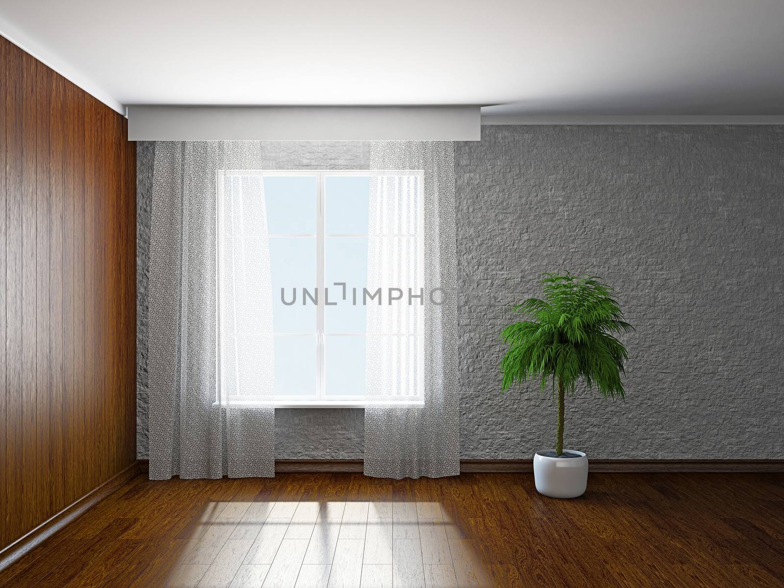 The empty room with plant near the window