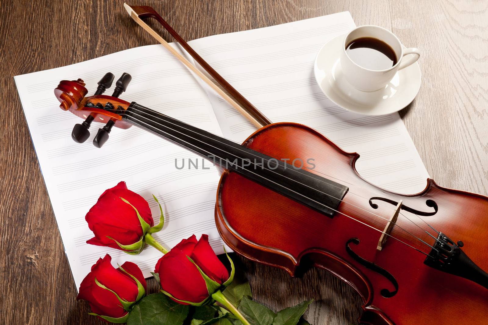 Red roses and a violin by sergey_nivens
