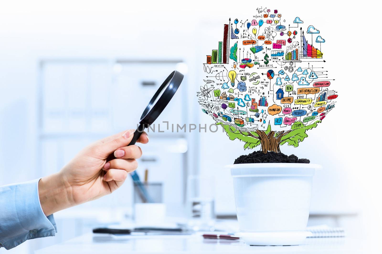 Close-up image of human hand and pot with money tree