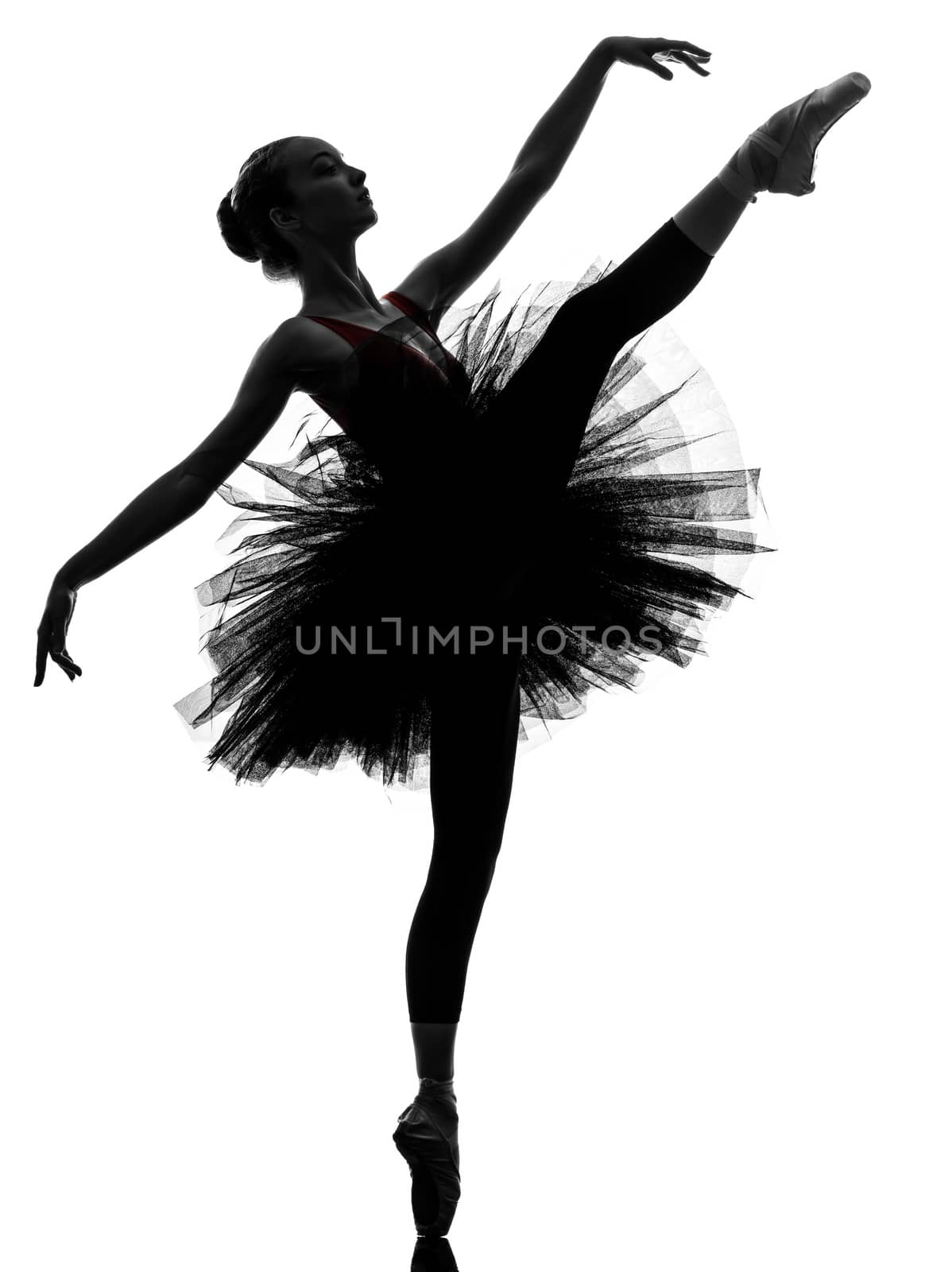 one caucasian young woman ballerina ballet dancer dancing with tutu in silhouette studio on white background