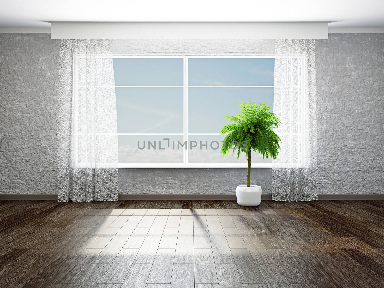 The empty room with plant near the window