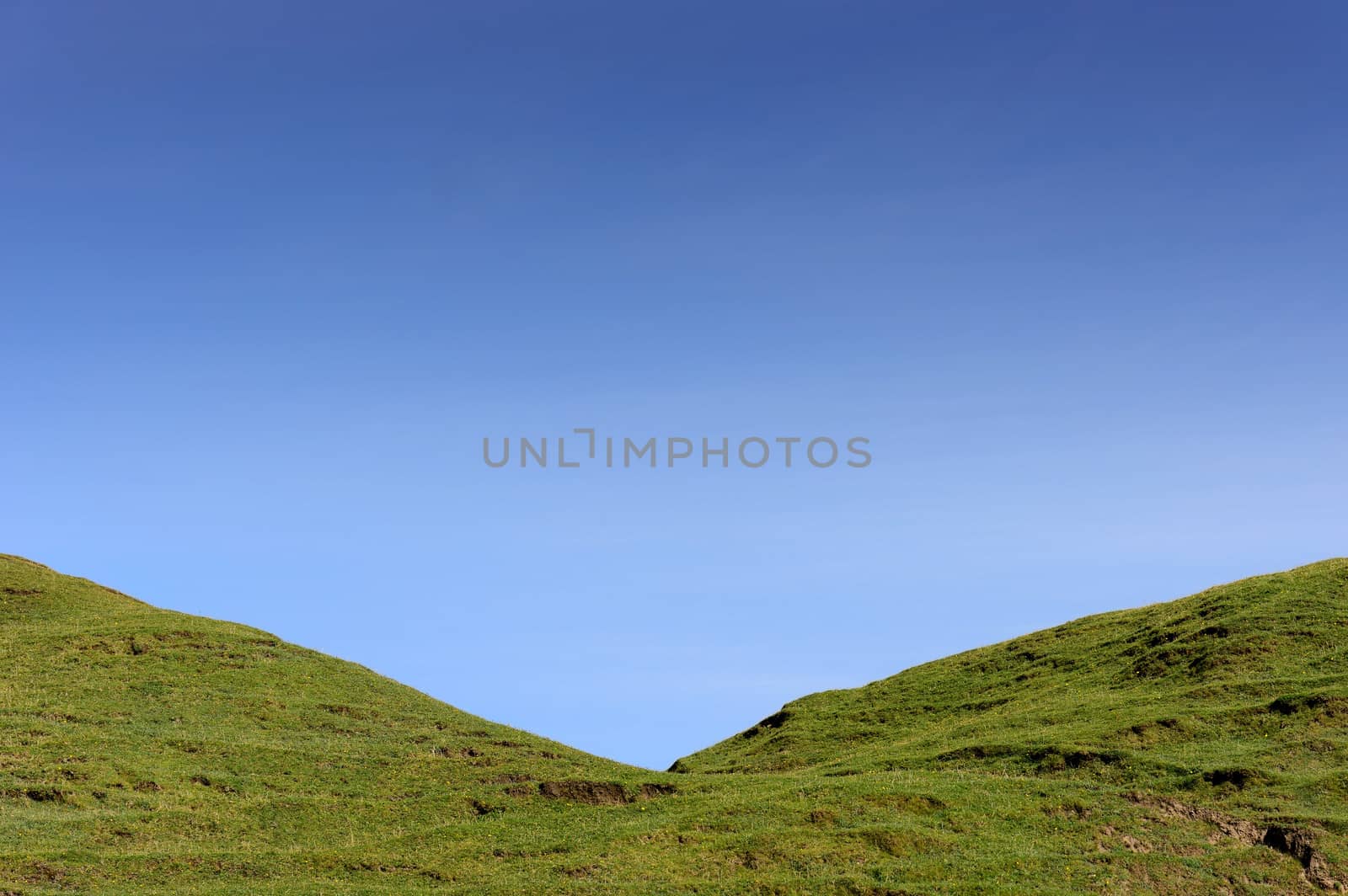 green grass blue sky by hyrons