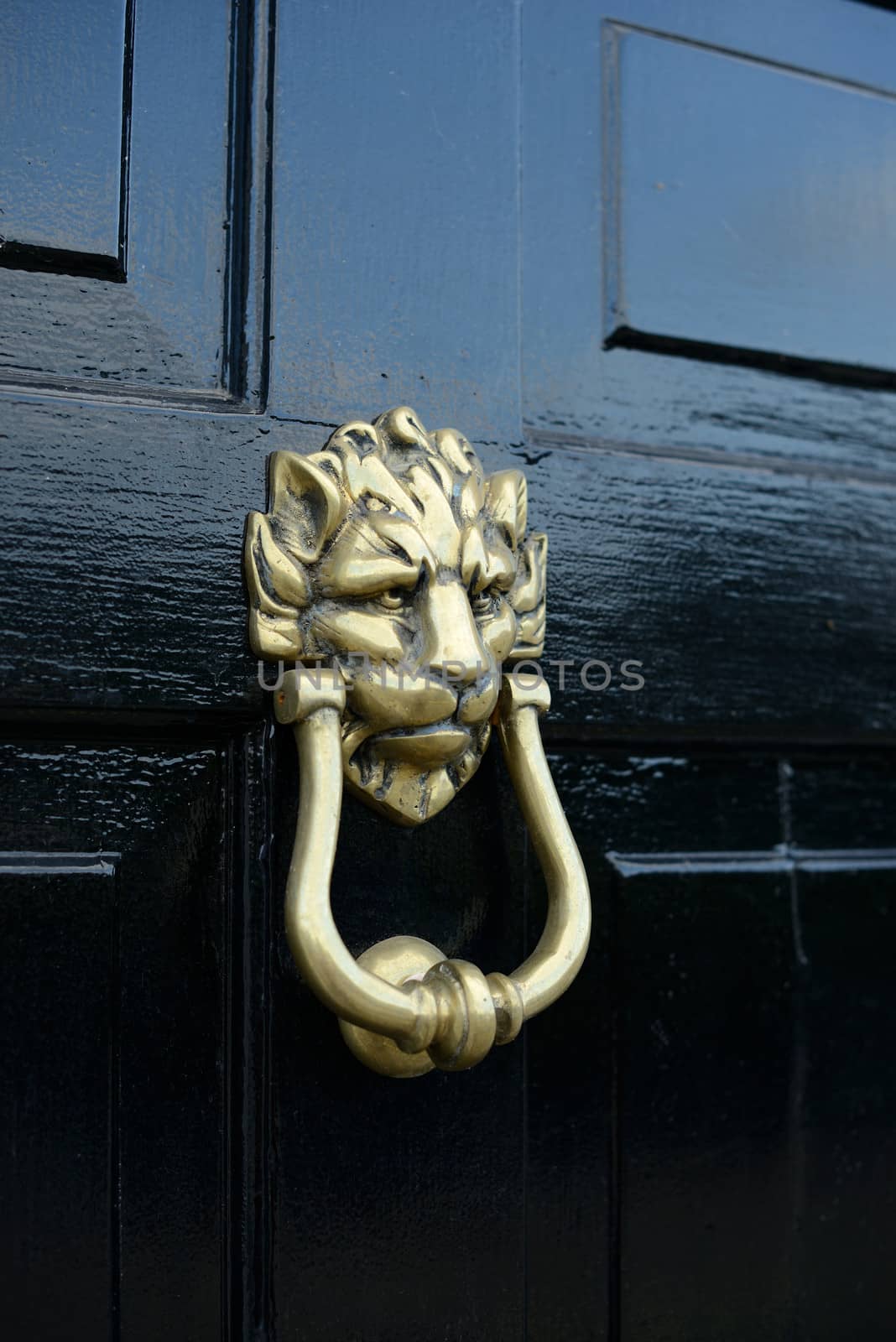 lion head door knocker on a black pained door