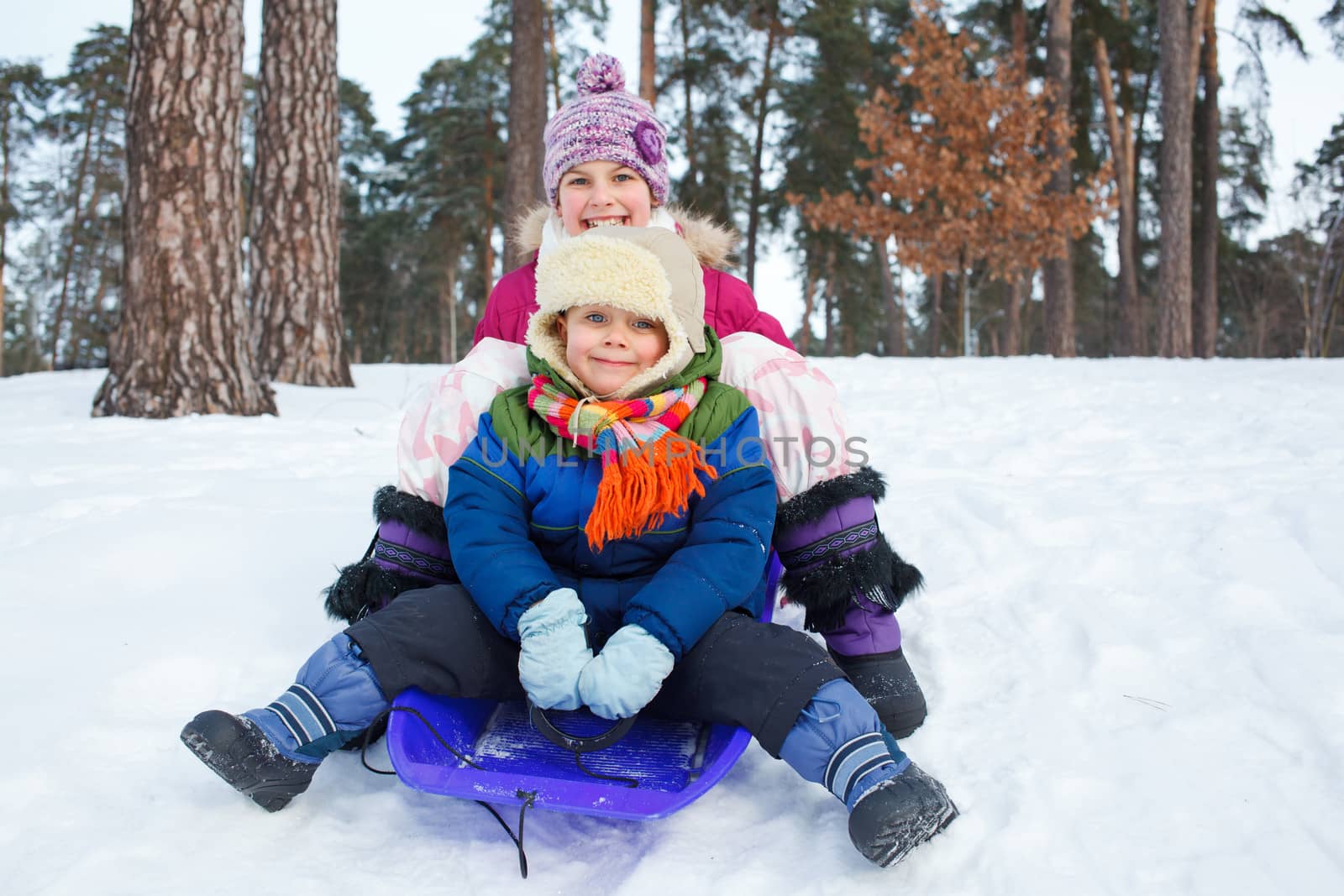 Cute sister and brother on sleds in snow forest. Focus on the boy