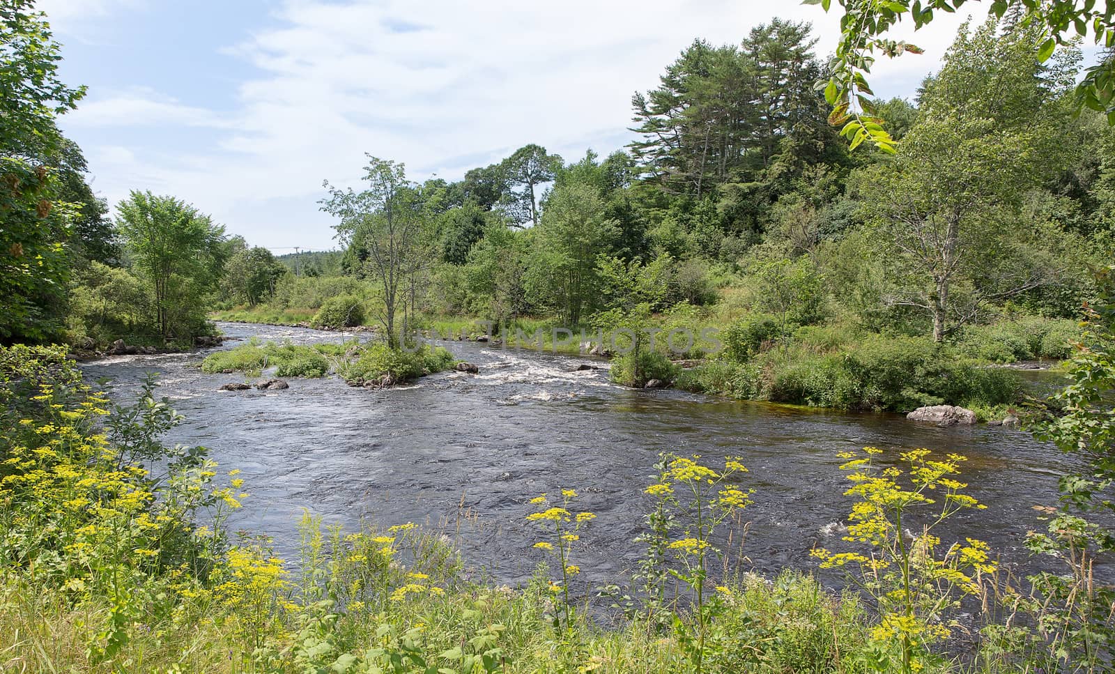 Maine is referred to as Vacationland. This image of a beautiful river feeding out to the Atlantic supports that slogan.