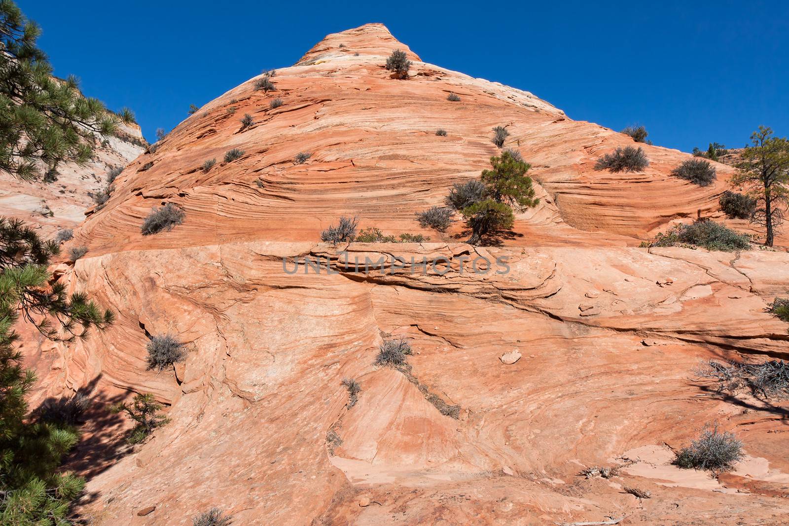 This huge rock formation at Zion Canyon has erosion markings comparable to whipped cream or soft served ice cream.