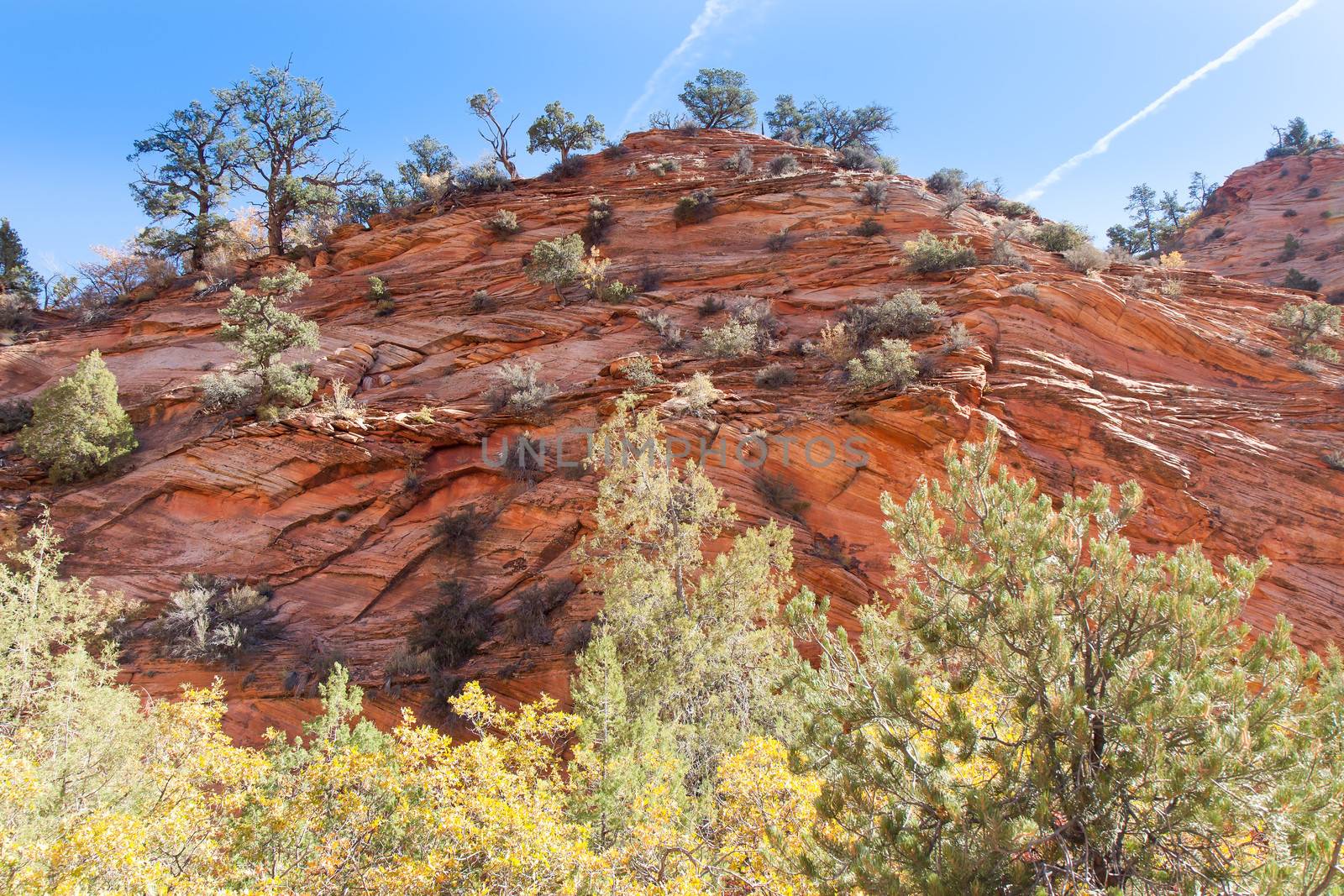 Falls colors are beginning to show in contrast to the colorful rock and hills.