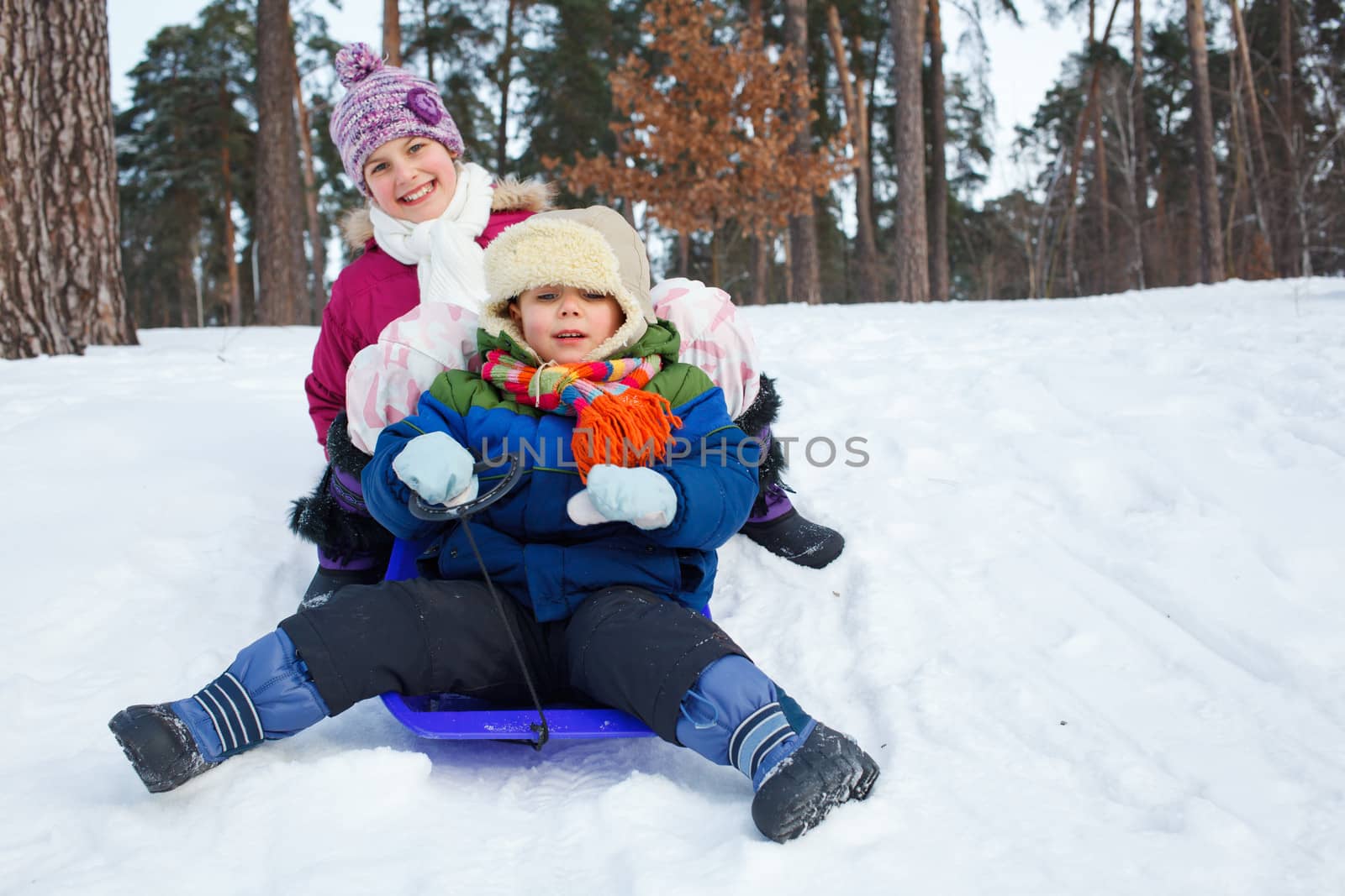 Cute sister and brother on sleds in snow forest. Focus on the boy