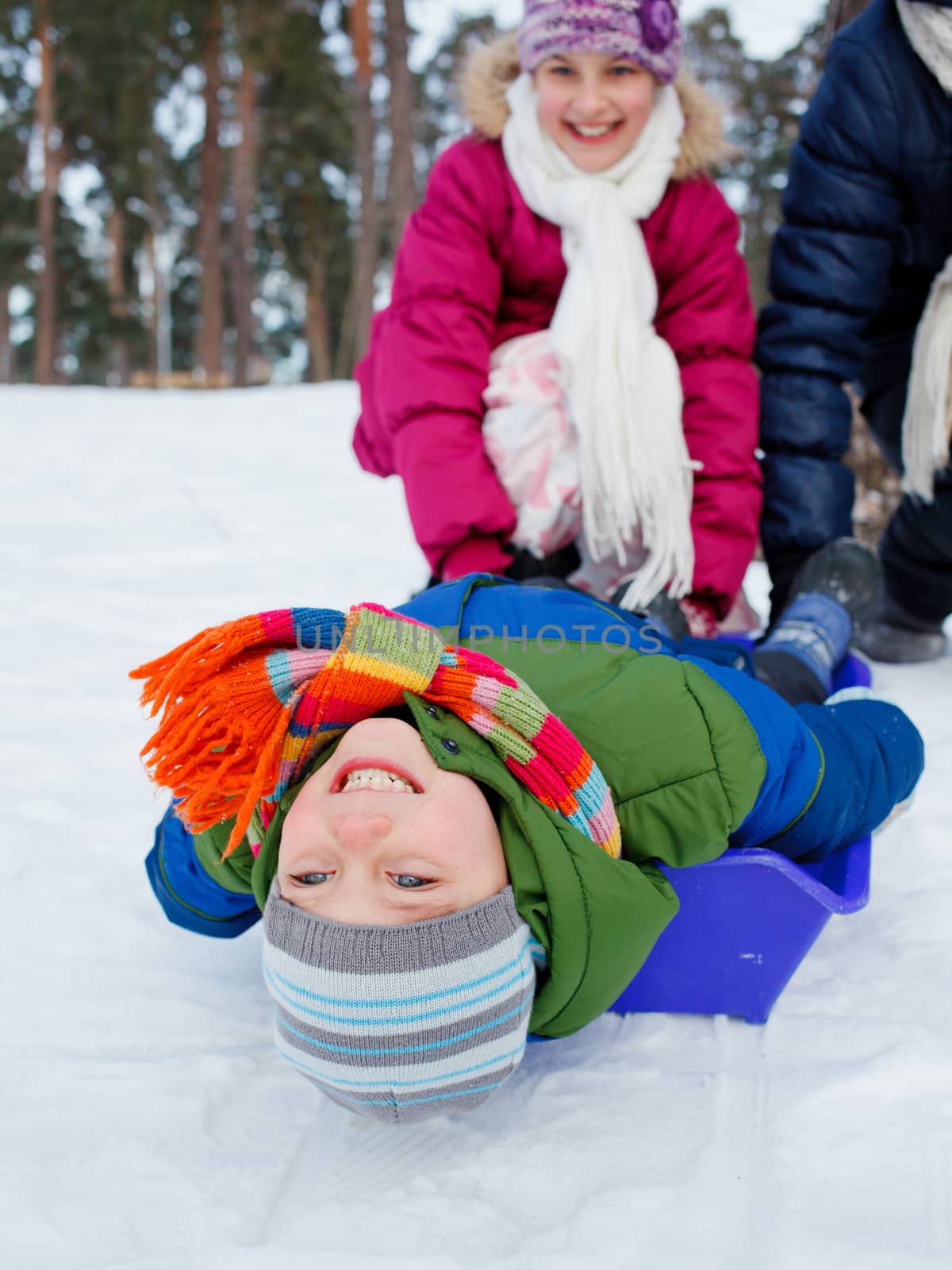 Cute sister and brother on sleds in snow forest. Focus on the boy