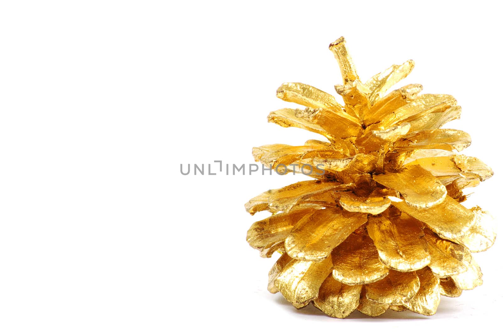 Golden pine cone isolated on white