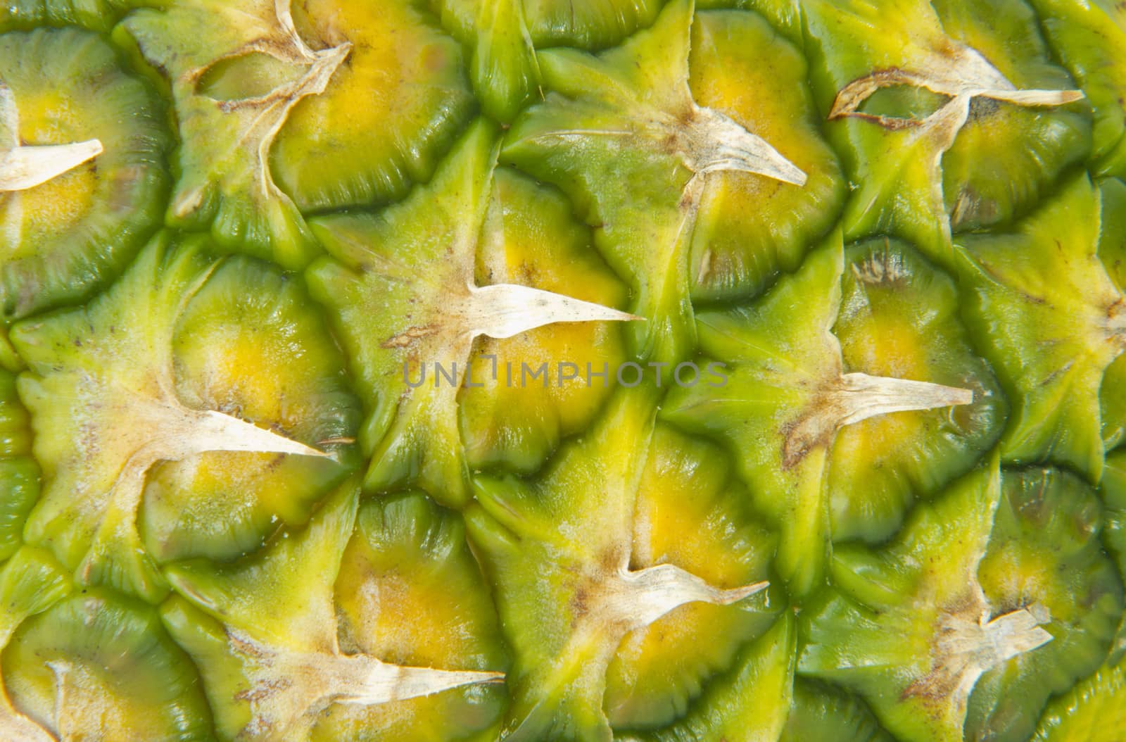 seamless background of pineapple fruit texture