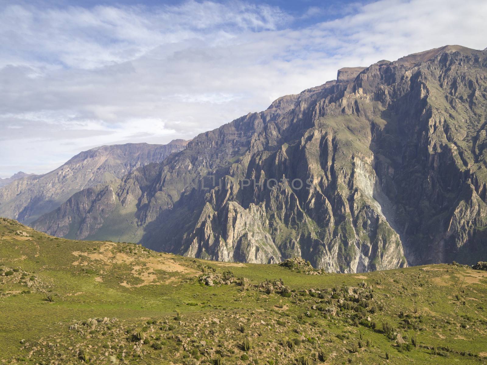 Partial view of the Colca Canyon, Arequipa region, Peru.