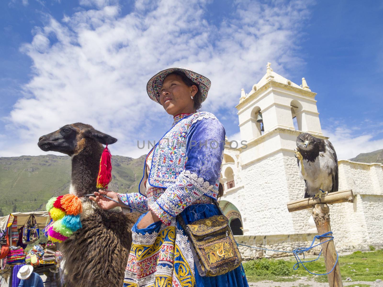 AREQUIPA, PERU - MAR 12: Unidentified Quechua indian woman with her Alpaca and Hawk in front of the Church on Mar 12, 2011 in Colca canyon, Arequipa, Peru. Colca canyon is home to the Andean Condor.