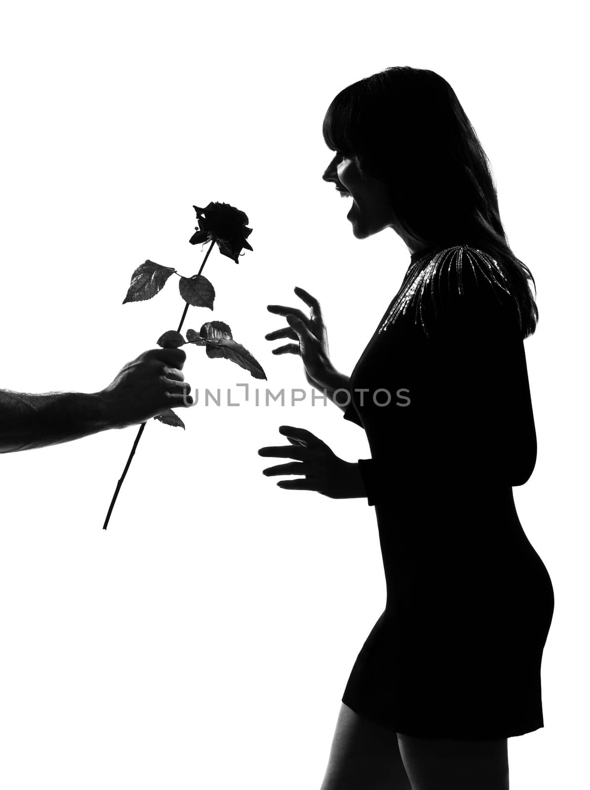 man hand offering a flower rose stylish sexy silhouette caucasian beautiful woman on studio isolated white background