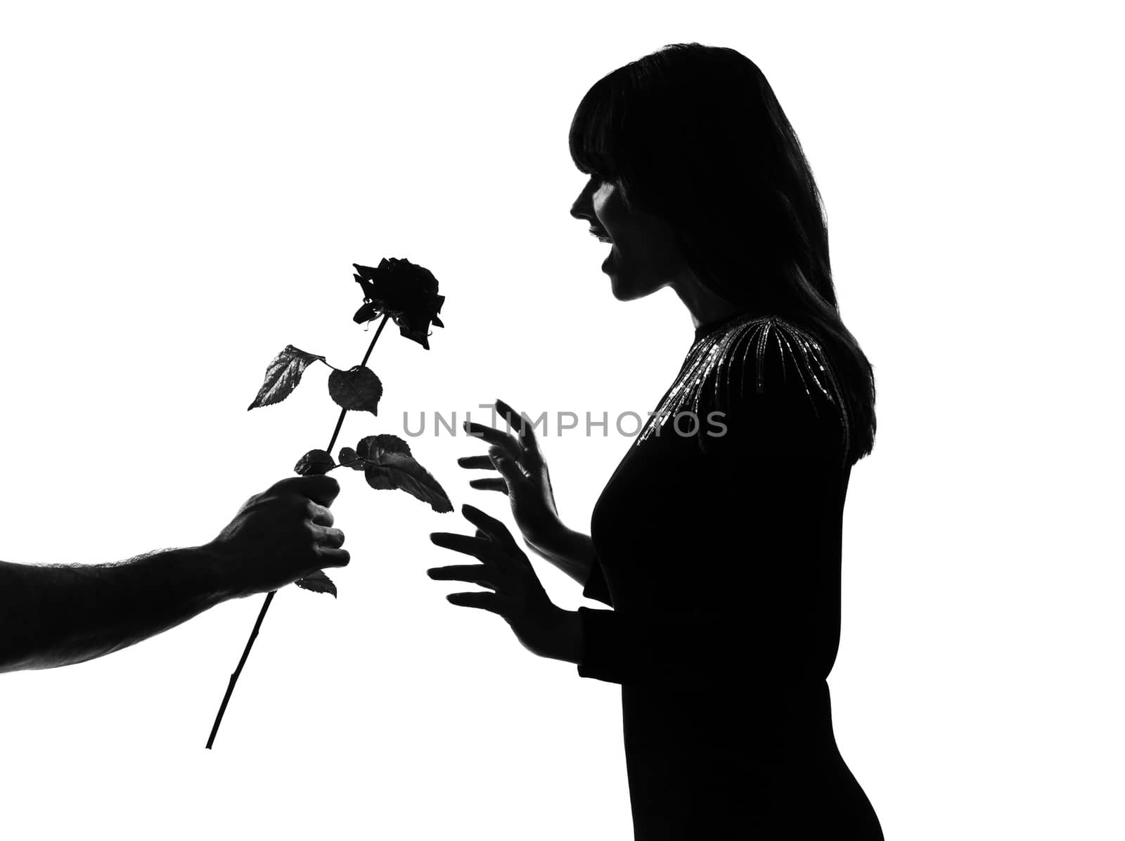 man hand offering a flower rose stylish sexy silhouette caucasian beautiful woman on studio isolated white background