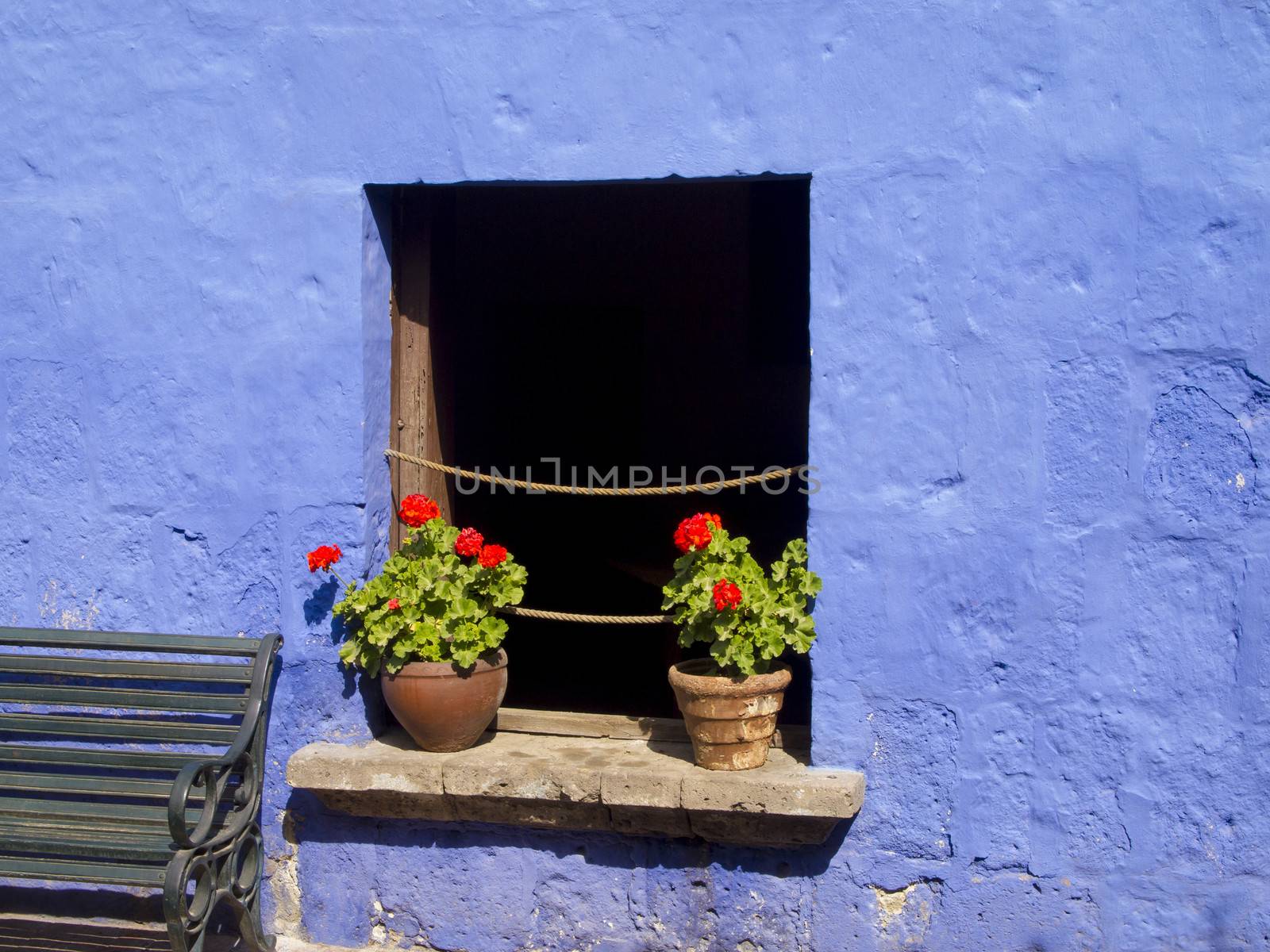 Red flowers on the window of blue wall.