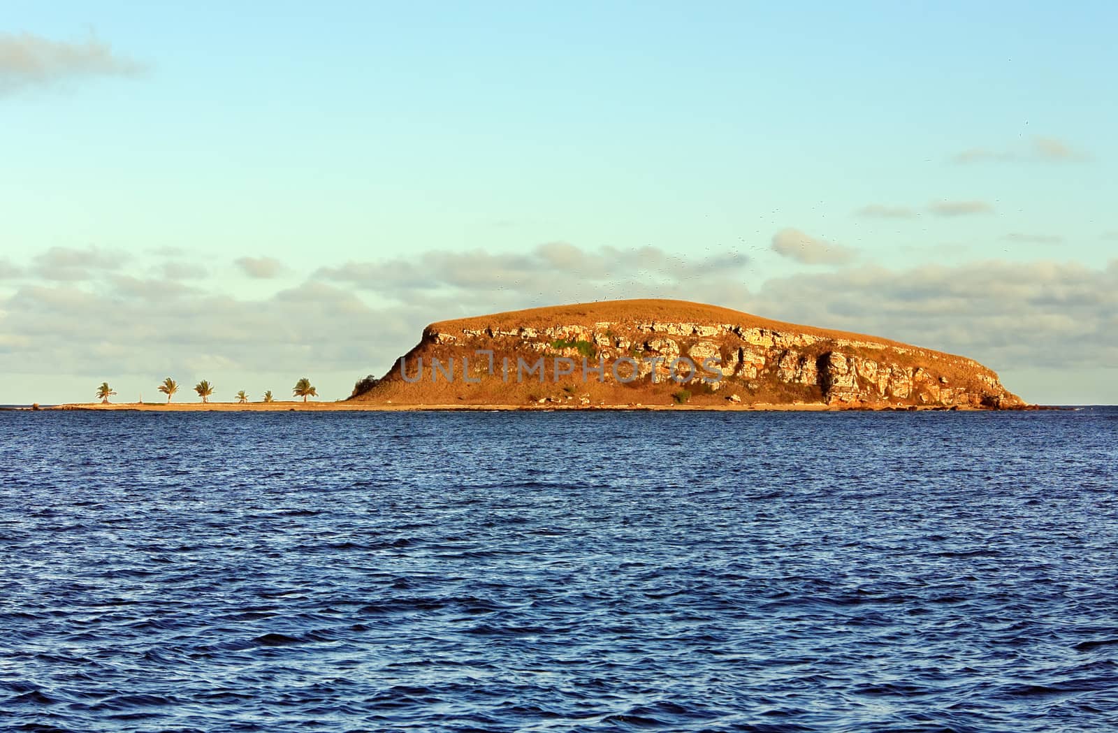 abrolhos islands by PIXSTILL