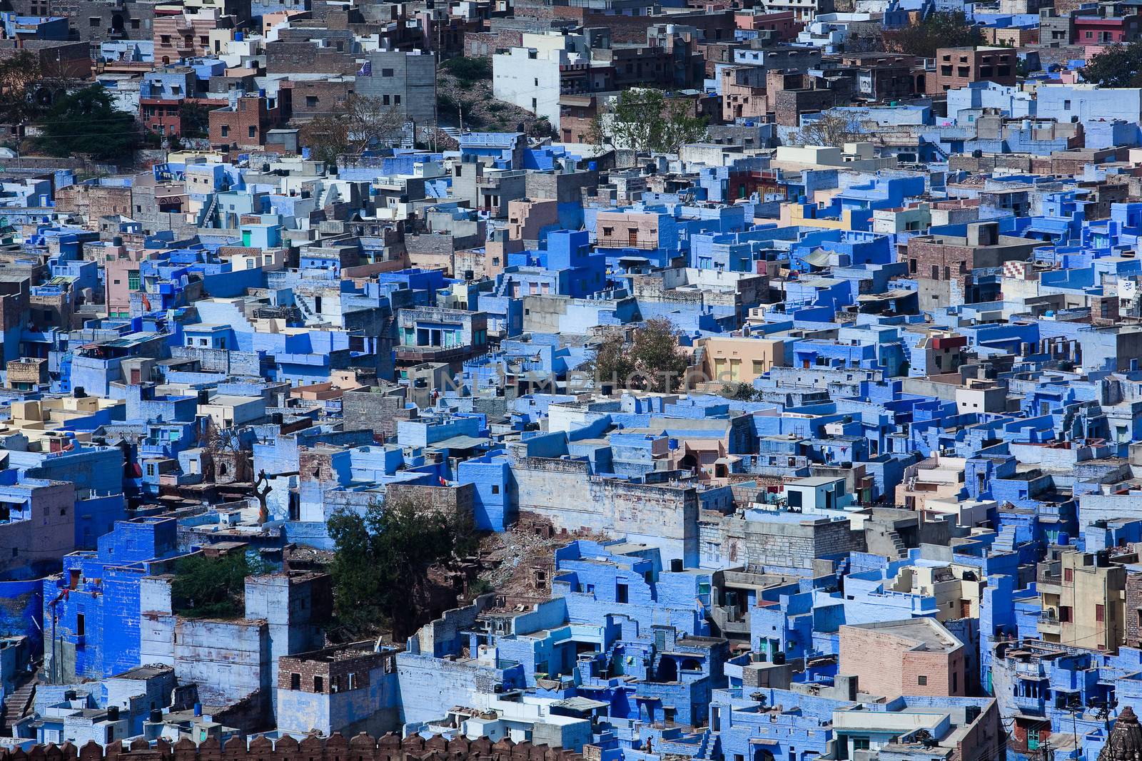 blue house in the beautiful city of jodhpur in rajasthan state in india