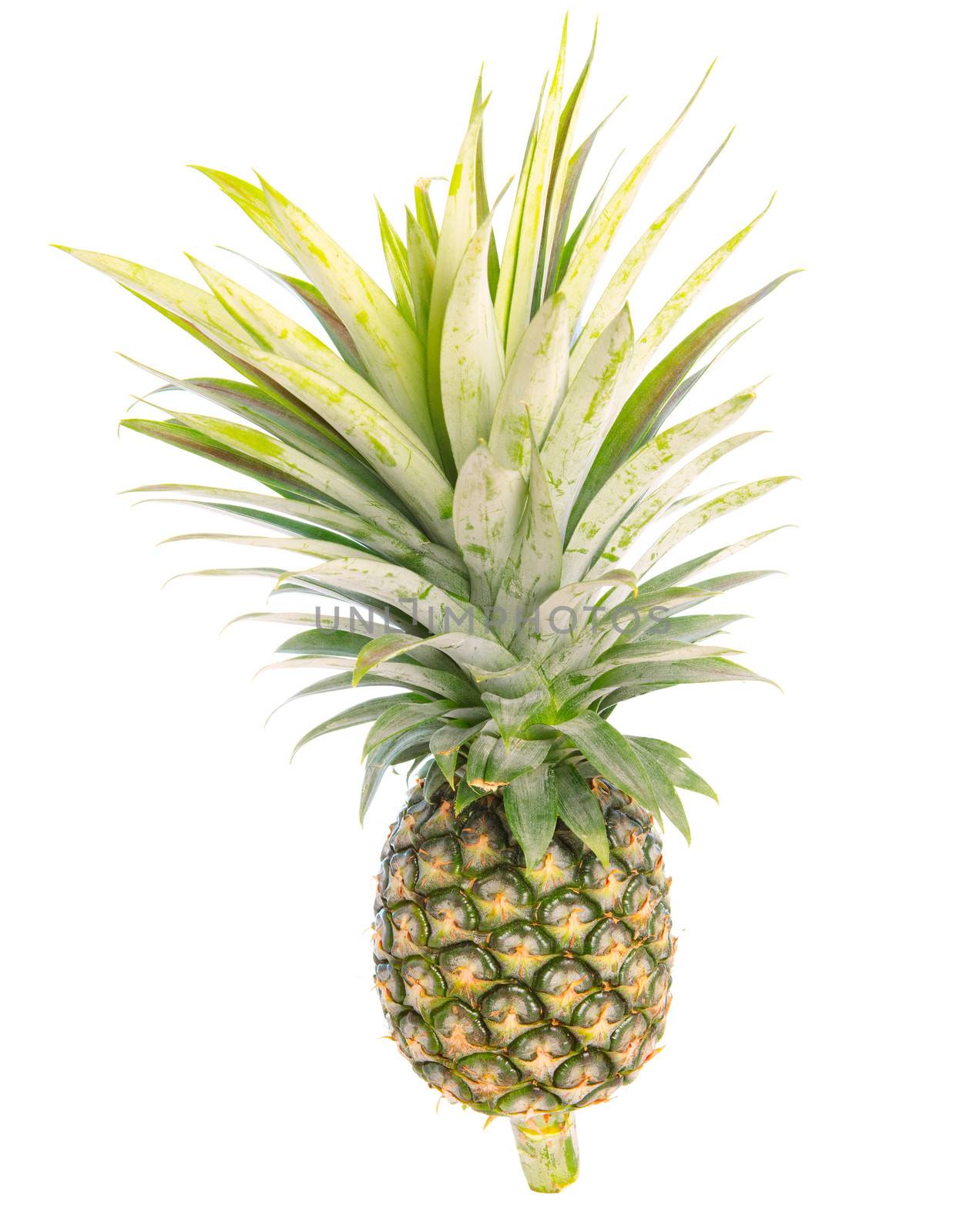pineapples isolated on white background for multipurpose