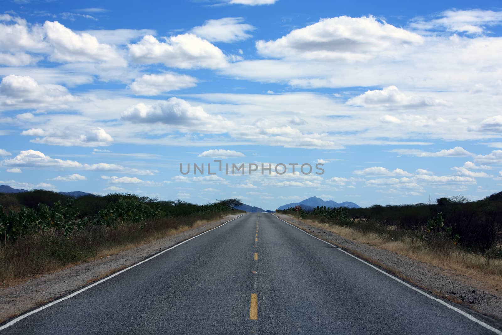 straight road of ceara state in brazil with blue sky and clouds